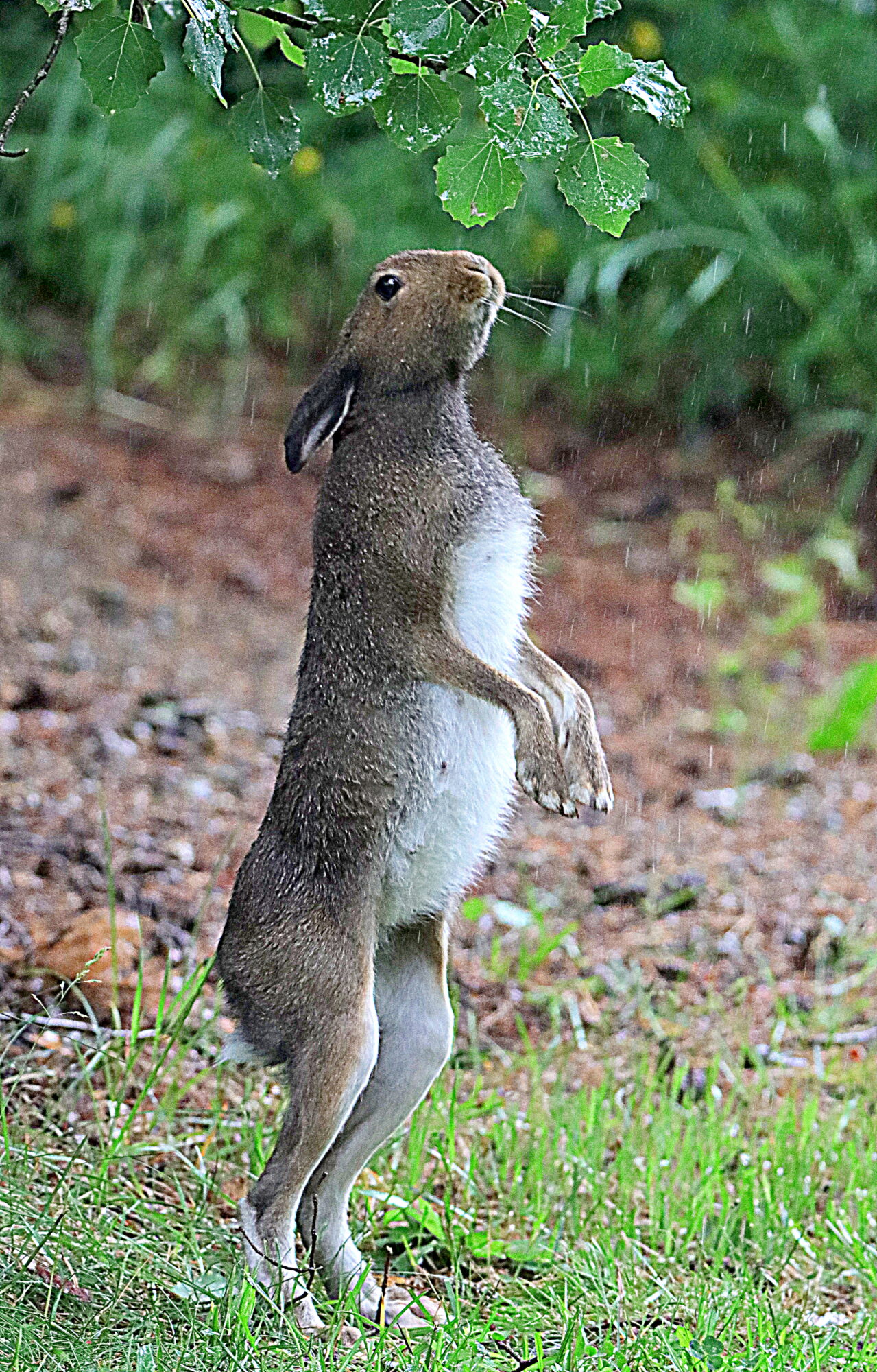 Valokuvaaja: Hannu Rasiranta