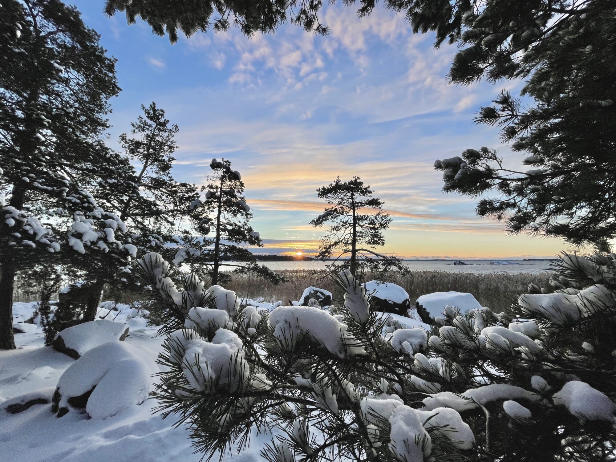 Valokuvaaja: Juhani Peltonen