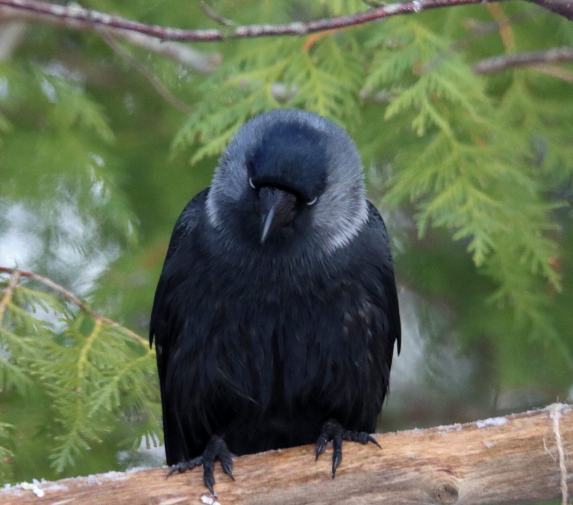 Valokuvaaja: Irja Lehtinen