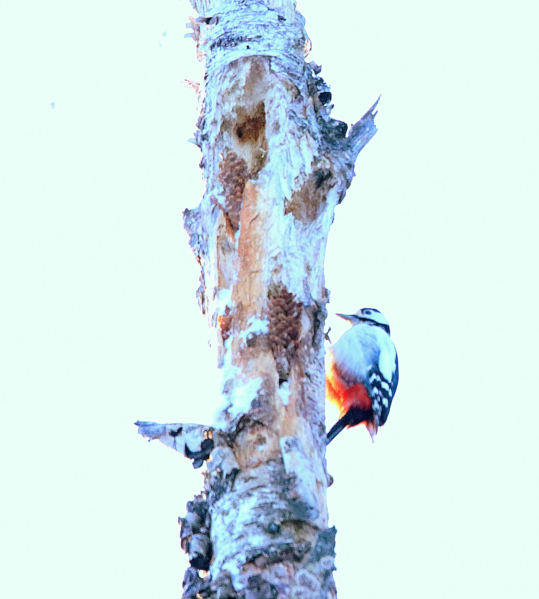 Valokuvaaja: Irja Lehtinen