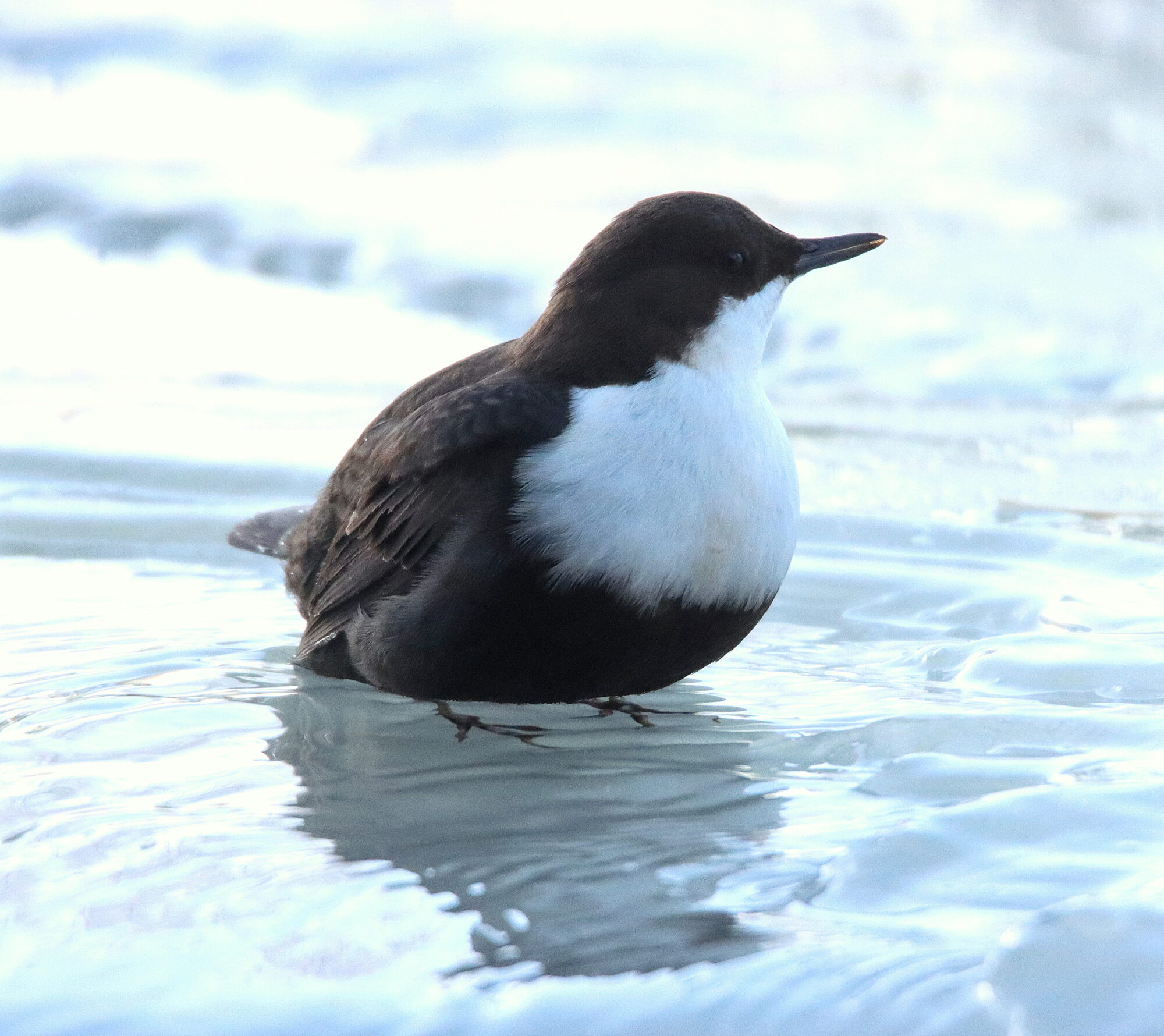 Valokuvaaja: Irja Lehtinen