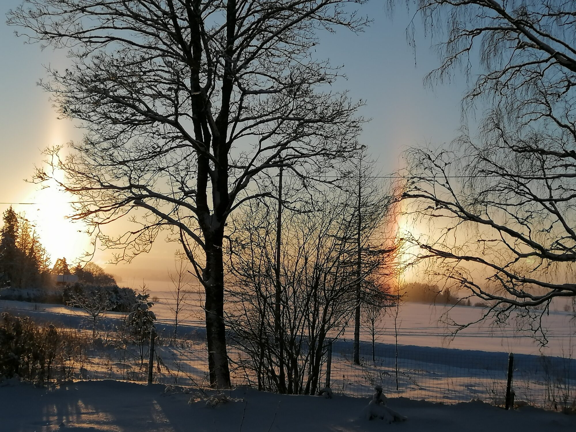 Valokuvaaja: Sanna Koski