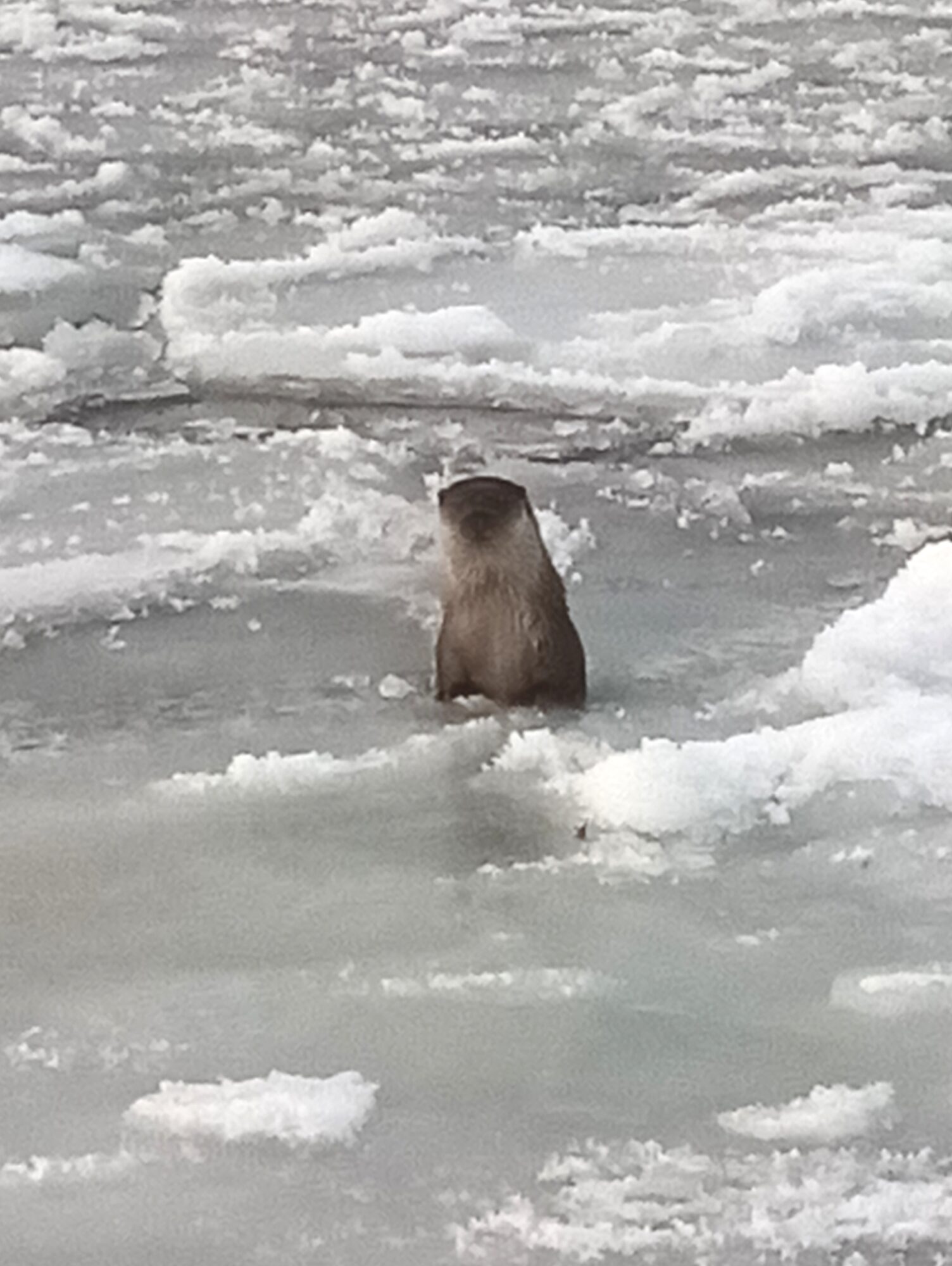 Valokuvaaja: Satu Rantamäki