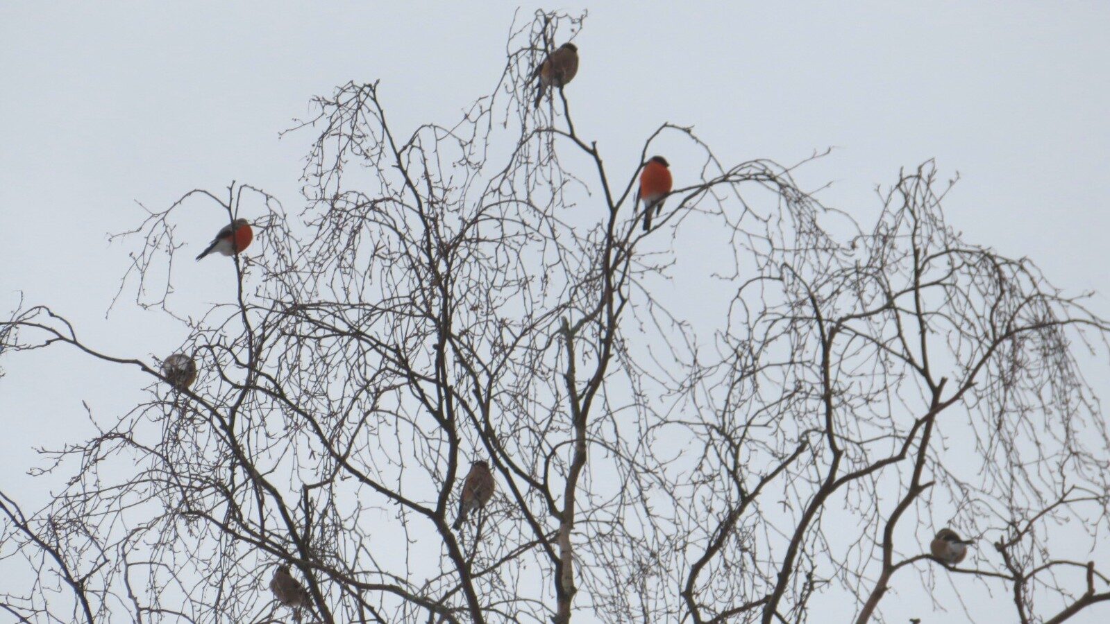 Valokuvaaja: Risto Kangassalo
