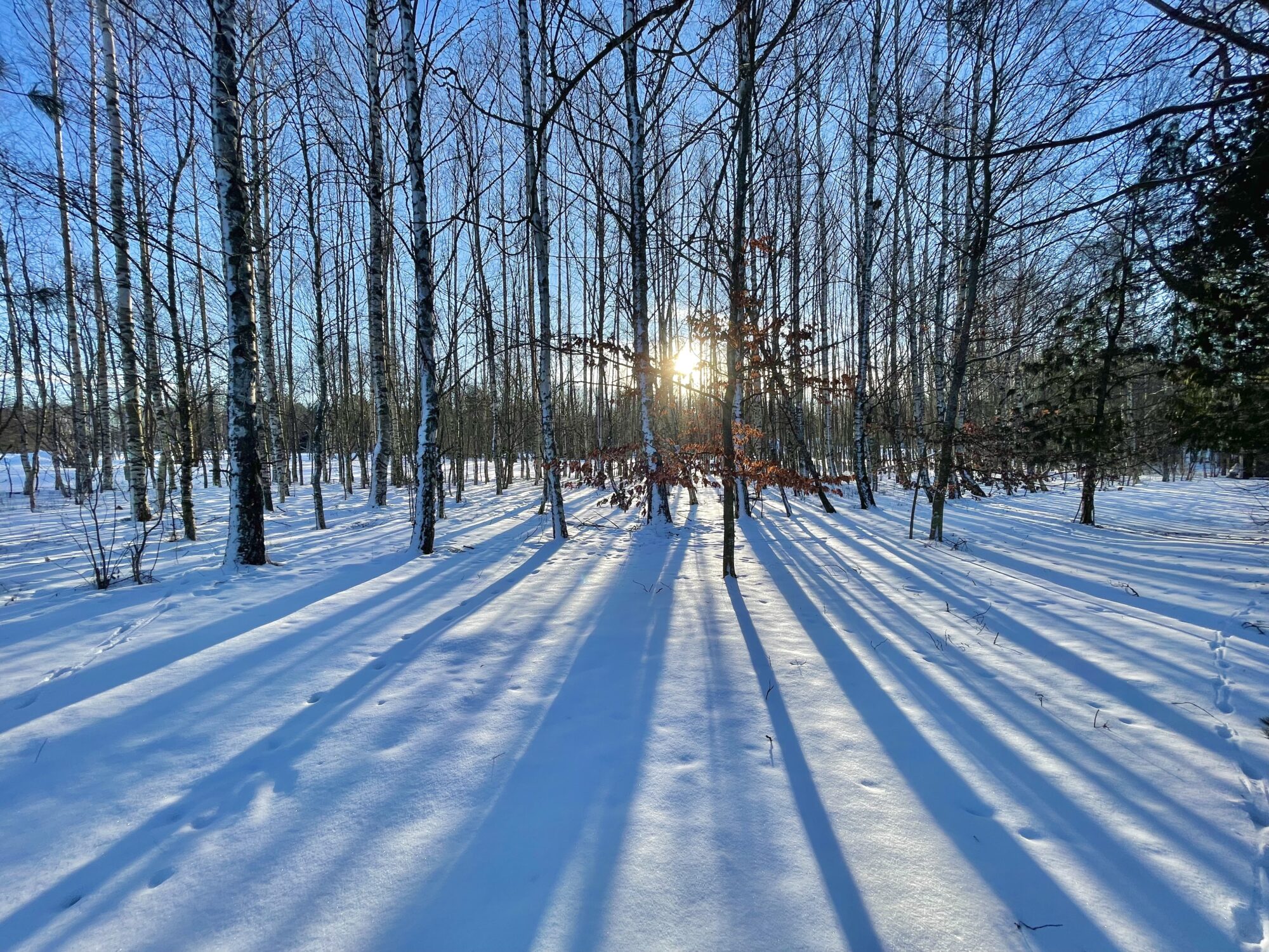 Valokuvaaja: Juhani Peltonen