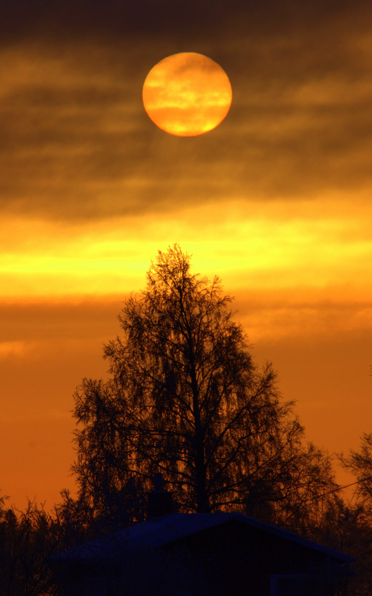 Valokuvaaja: Tapio Keinonen