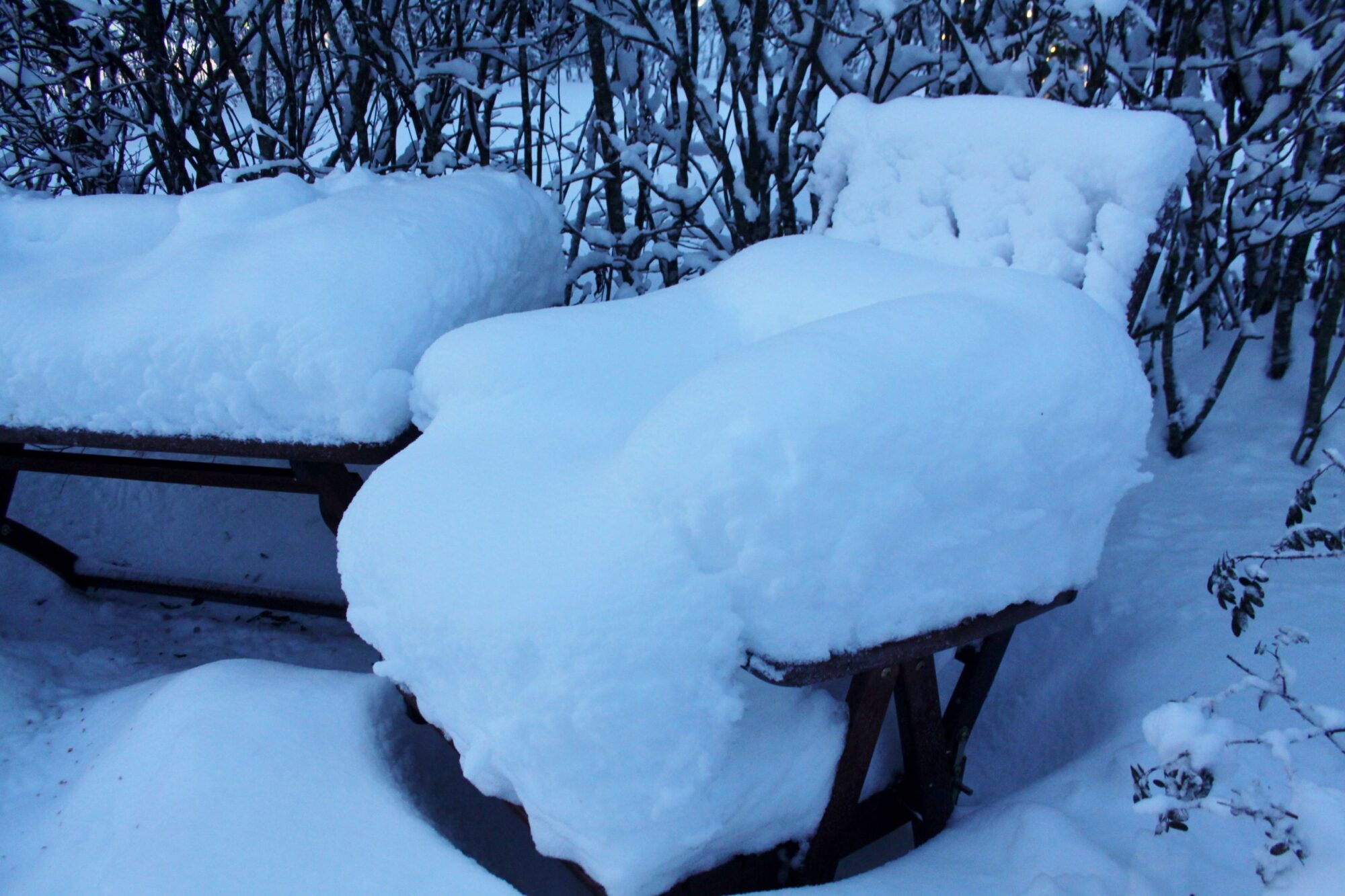 Valokuvaaja: Pirkko Siukonen