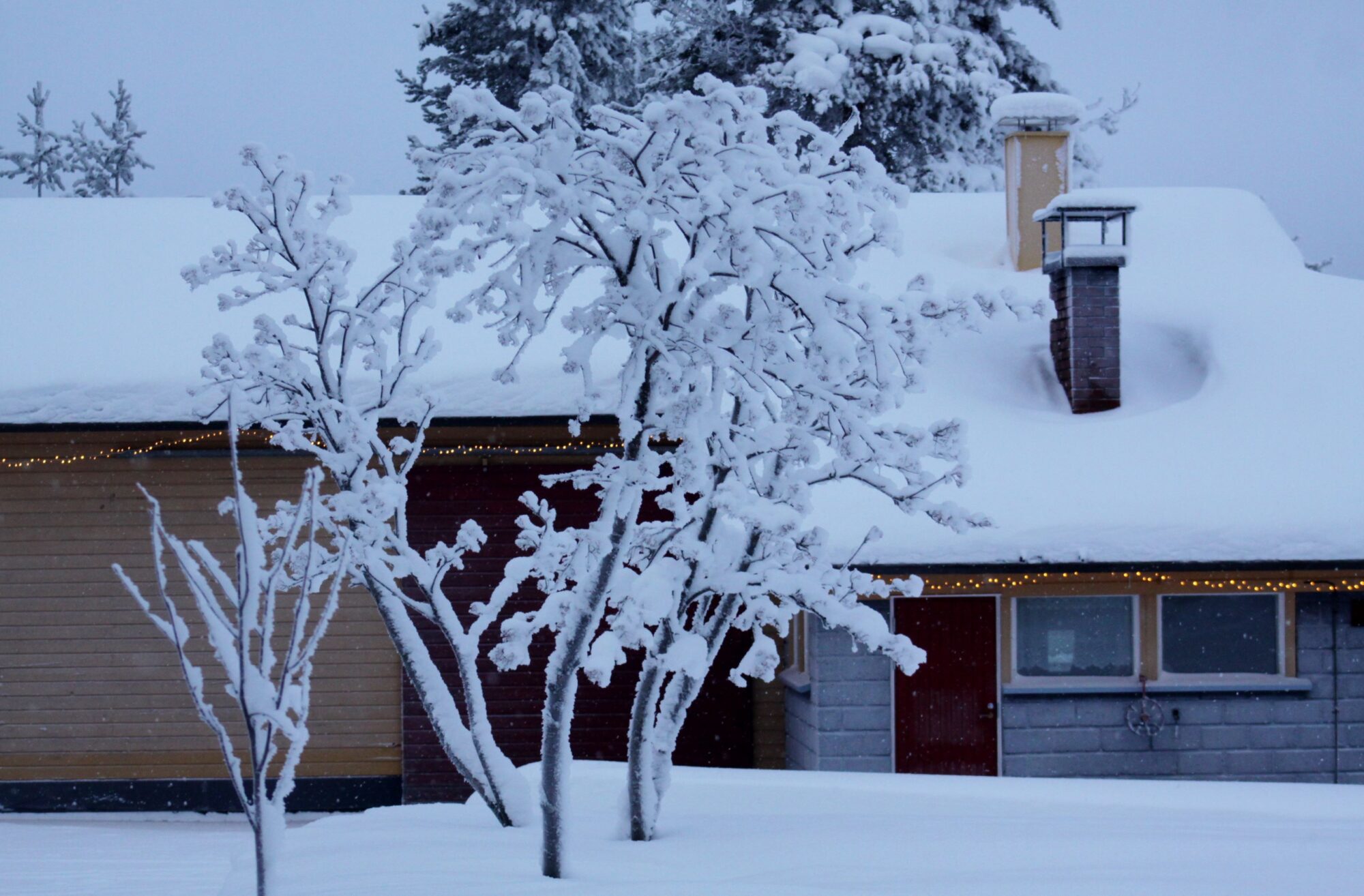 Valokuvaaja: Pirkko Siukonen