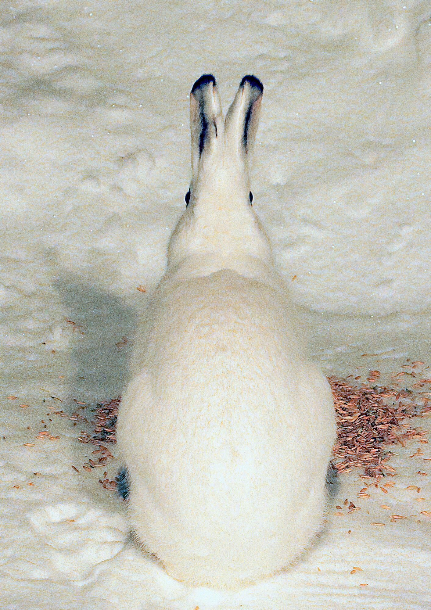 Valokuvaaja: Hannu Rasiranta