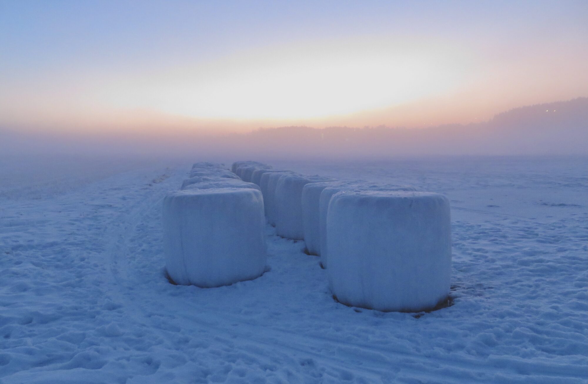 Valokuvaaja: Juhani Peltonen