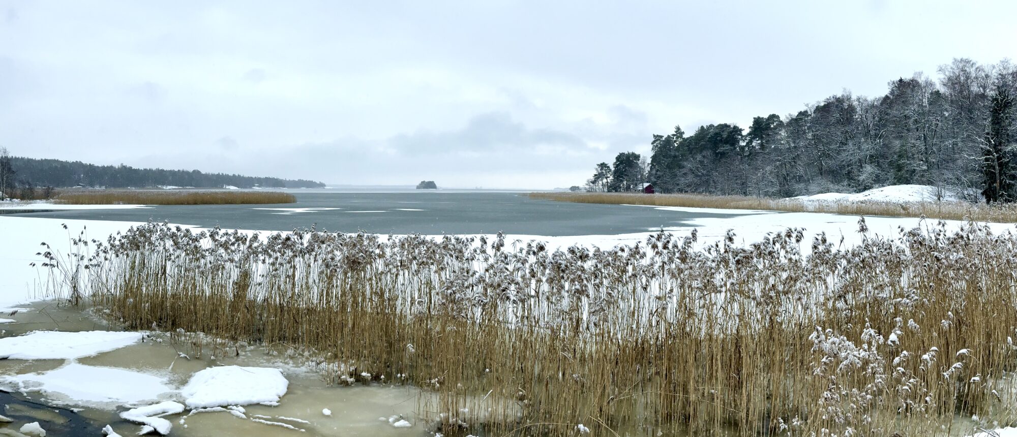 Valokuvaaja: Juhani Peltonen