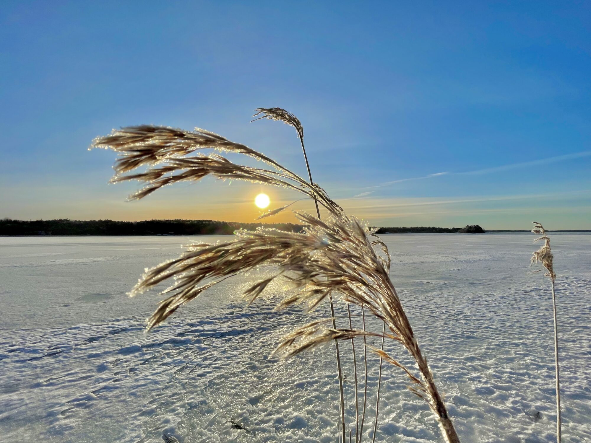 Valokuvaaja: Juhani Peltonen