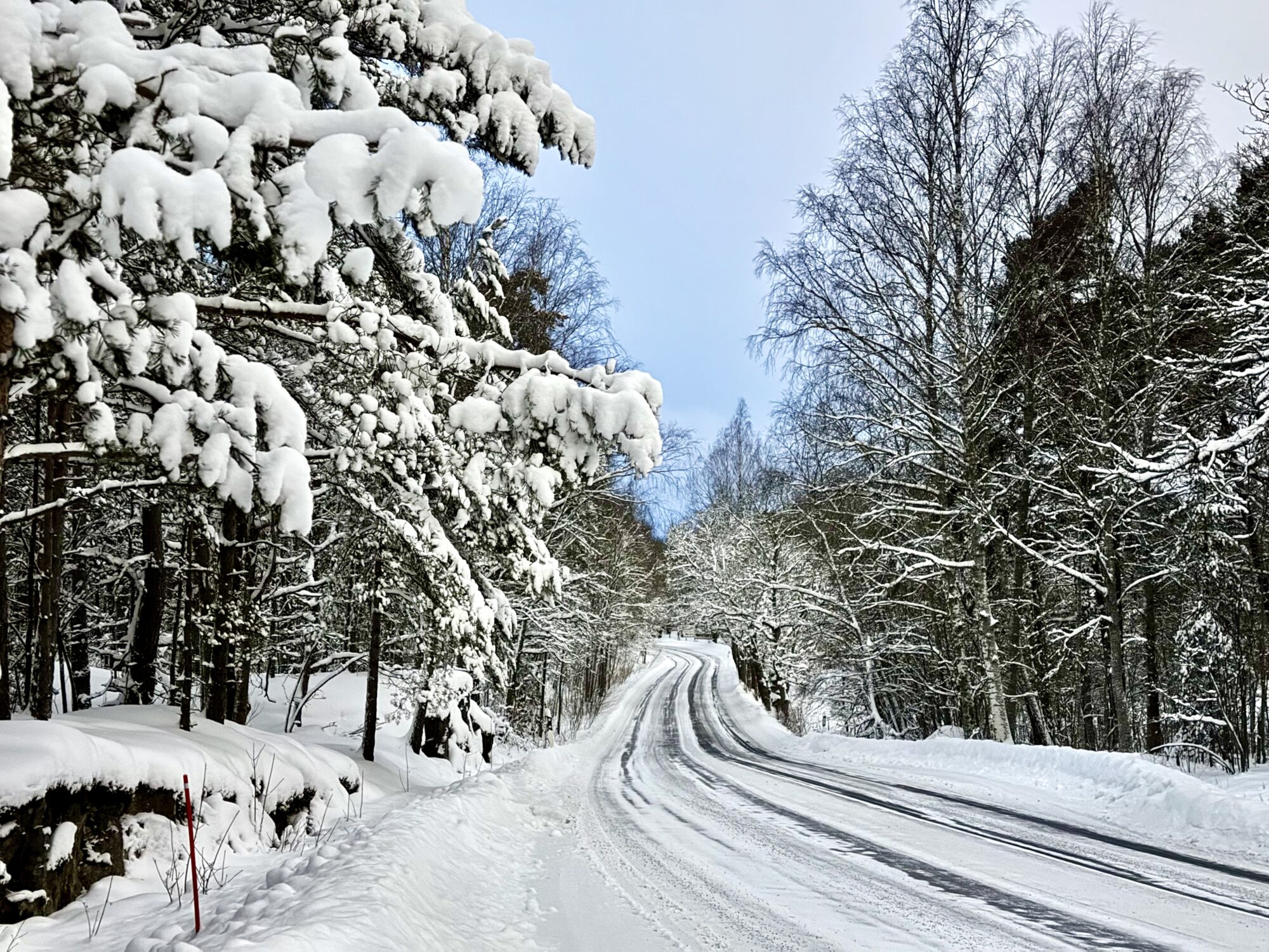 Valokuvaaja: Juhani Peltonen