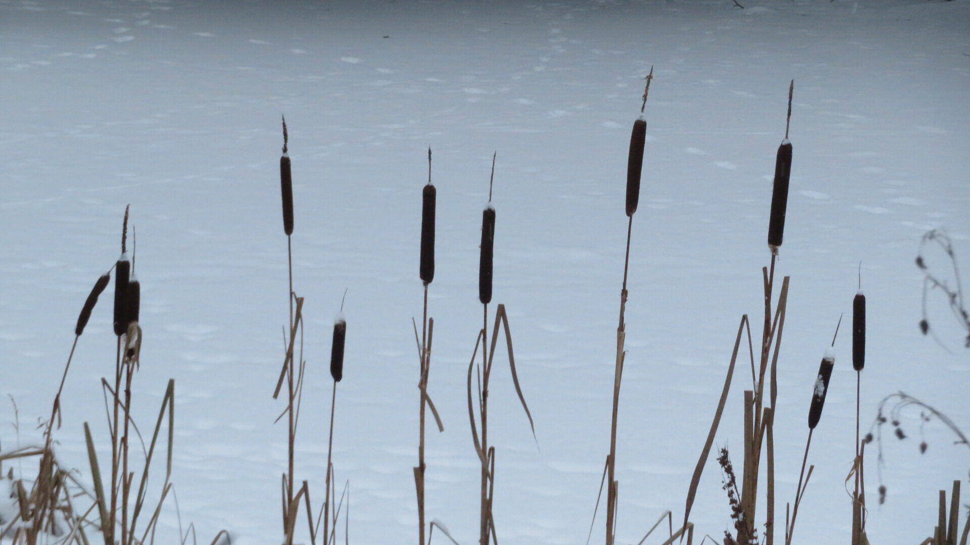 Valokuvaaja: Risto Kangassalo