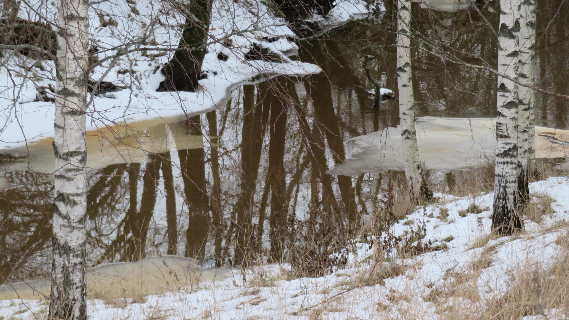 Valokuvaaja: Risto Kangassalo