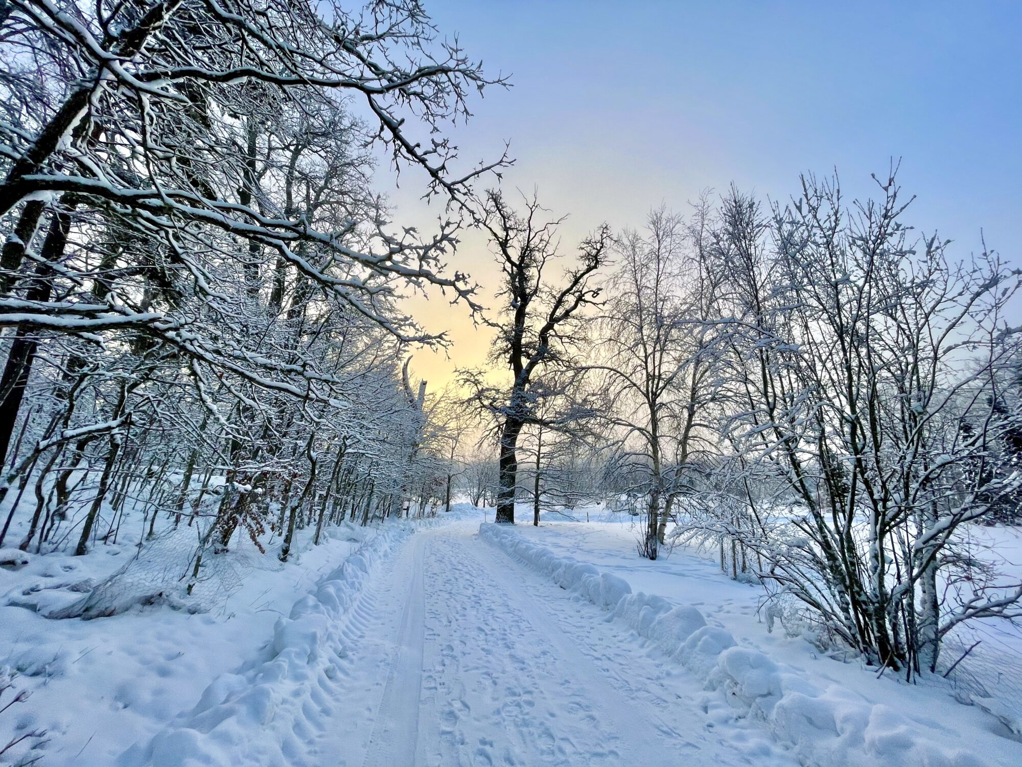 Valokuvaaja: Juhani Peltonen