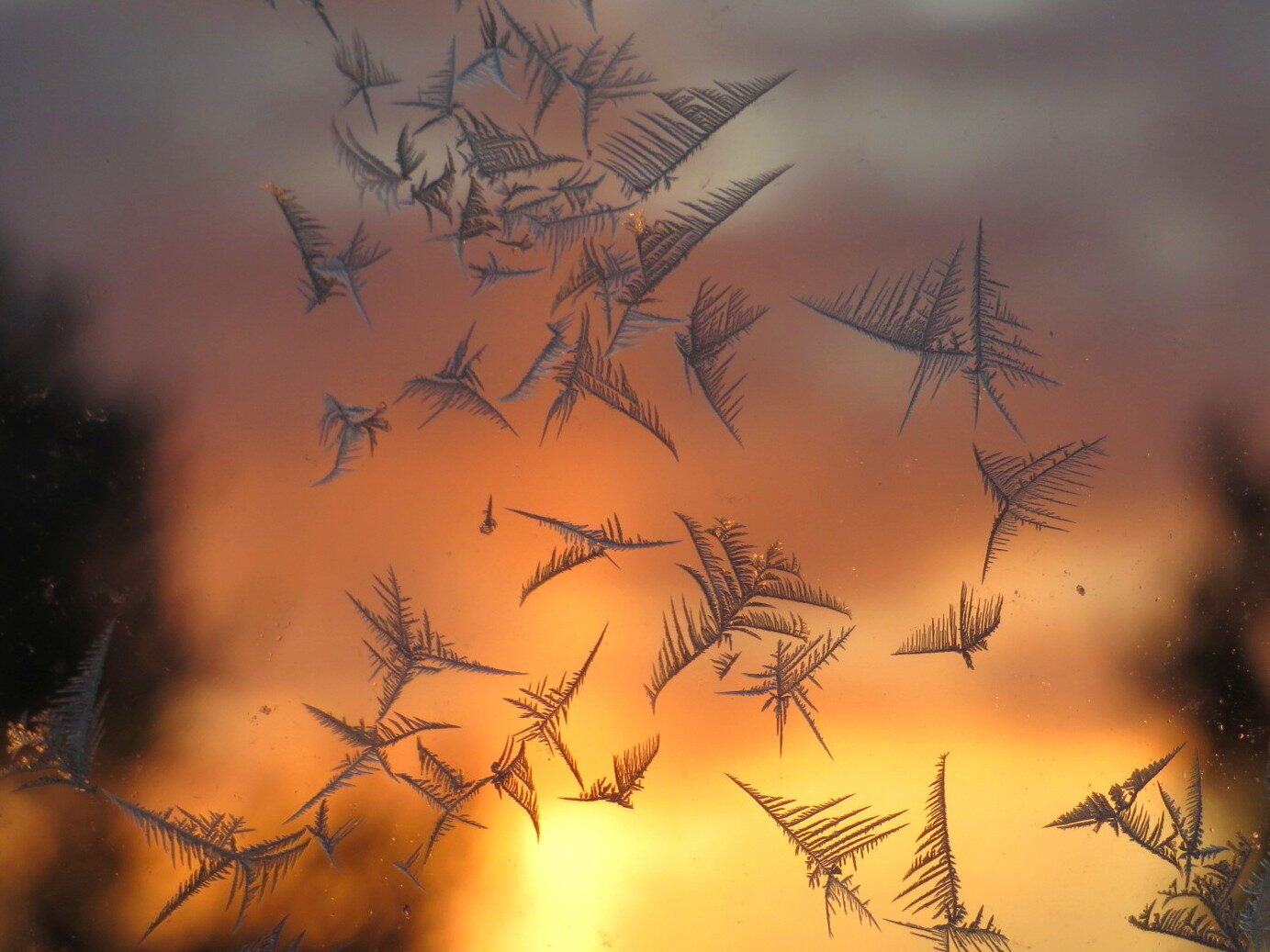 Valokuvaaja: Risto Kangassalo