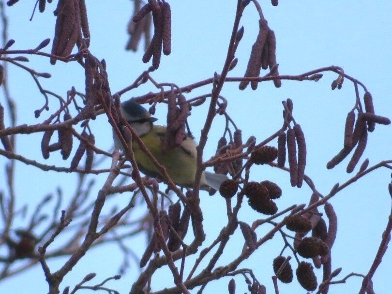 Valokuvaaja: Risto Kangassalo