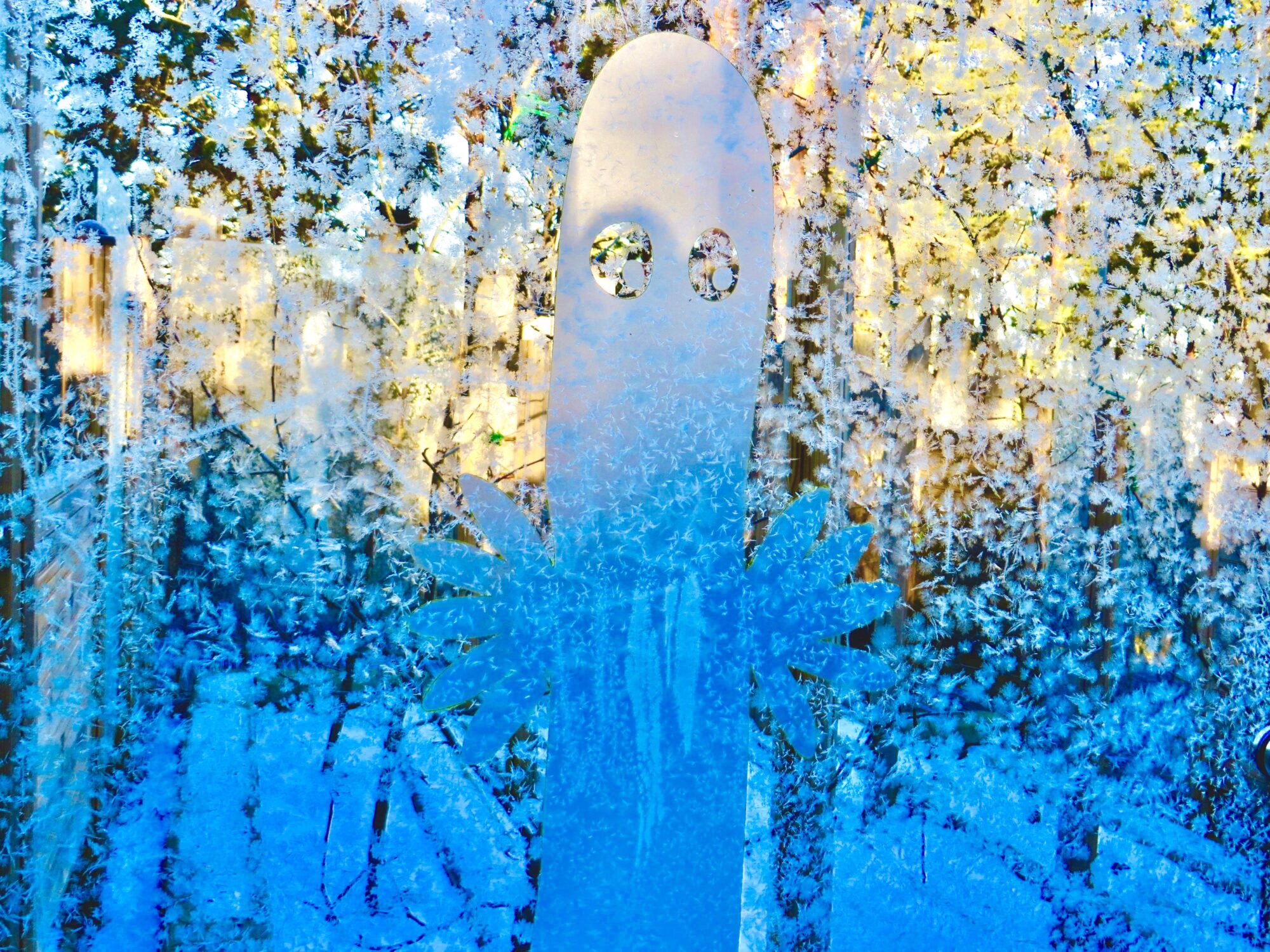 Valokuvaaja: Juhani Peltonen