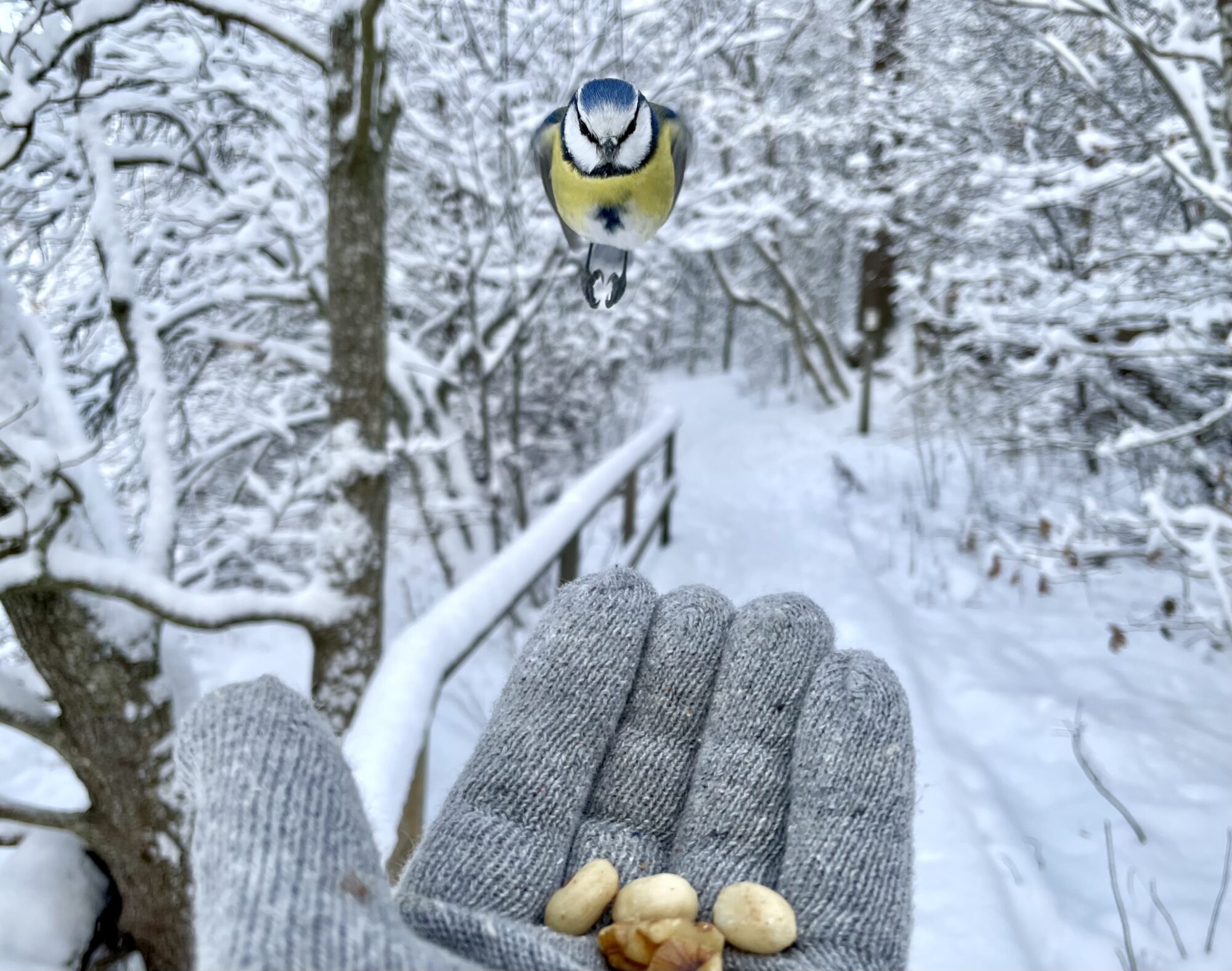 Valokuvaaja: Juhani Peltonen