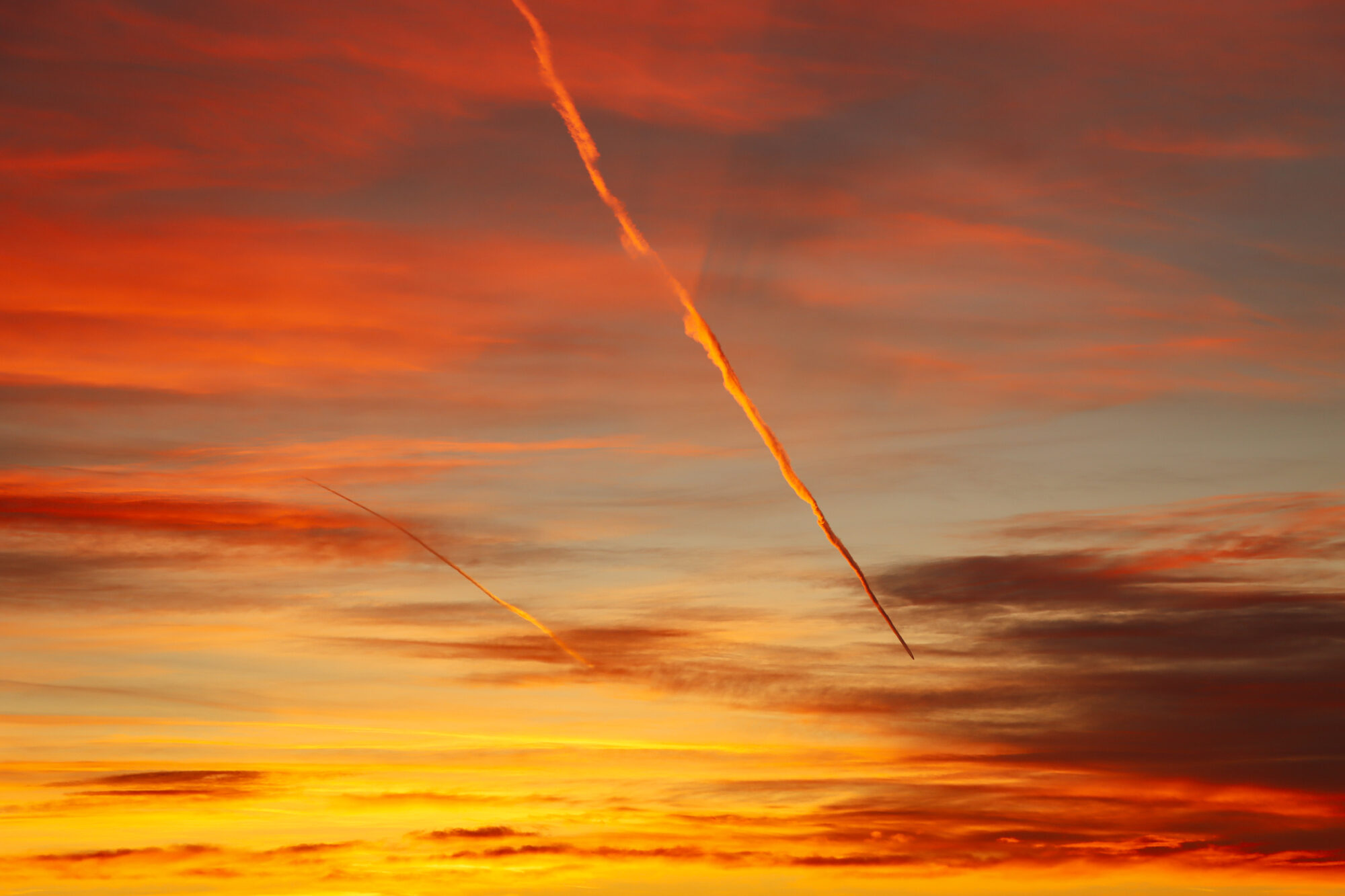 Valokuvaaja: Juulya Valokuvaaja: Juulya