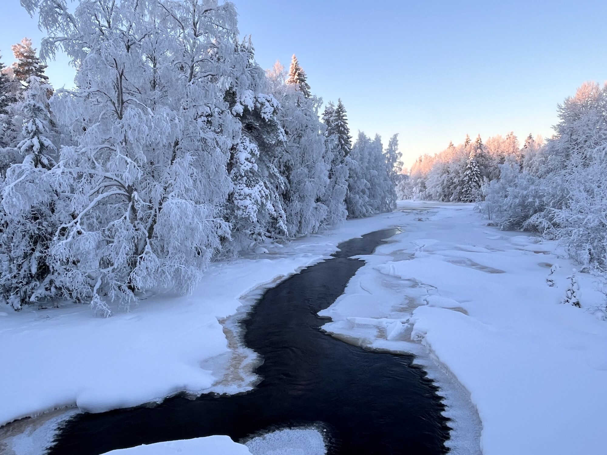 Valokuvaaja: Tuukka Pahtamaa