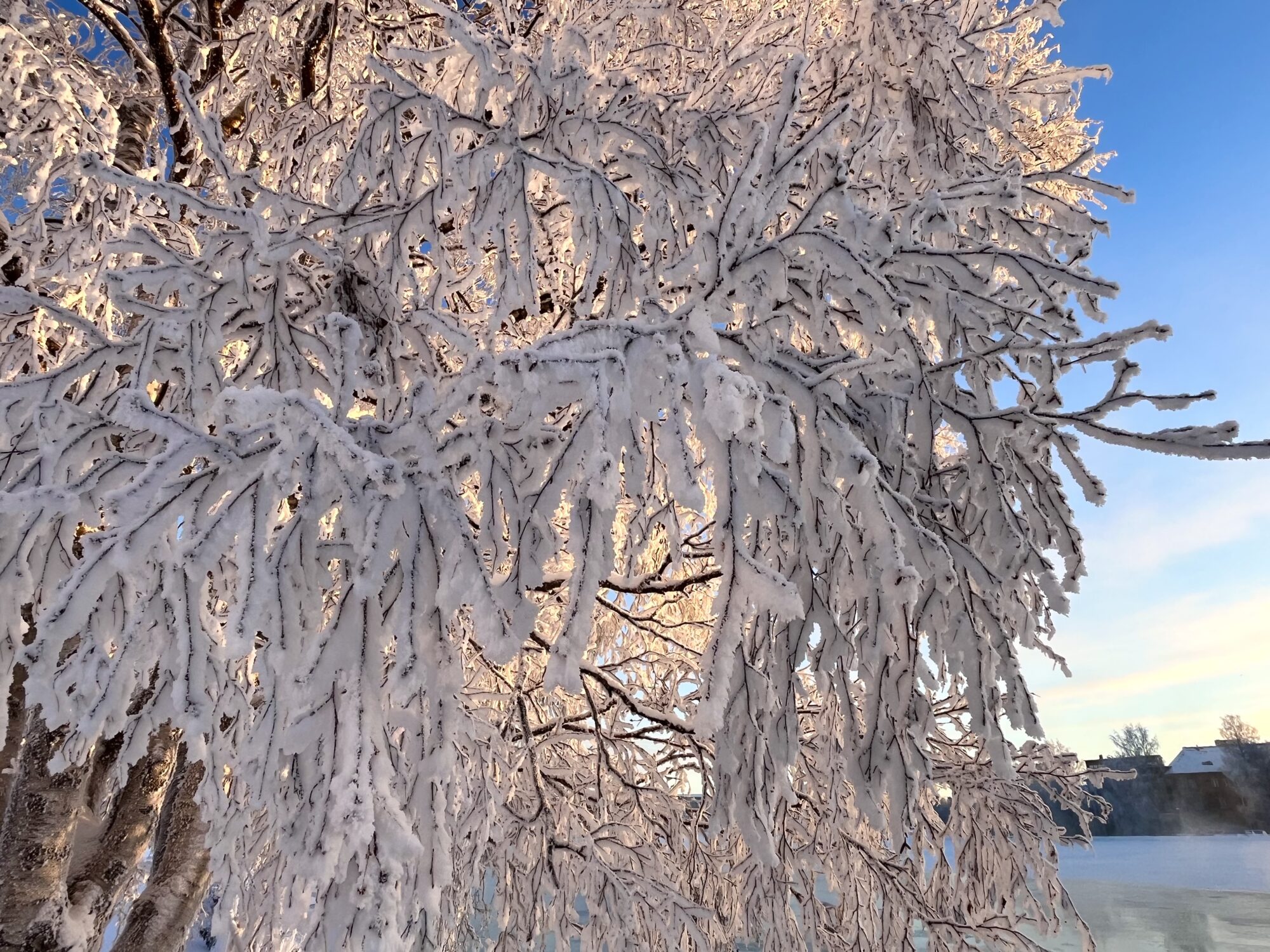 Valokuvaaja: Tuukka Pahtamaa