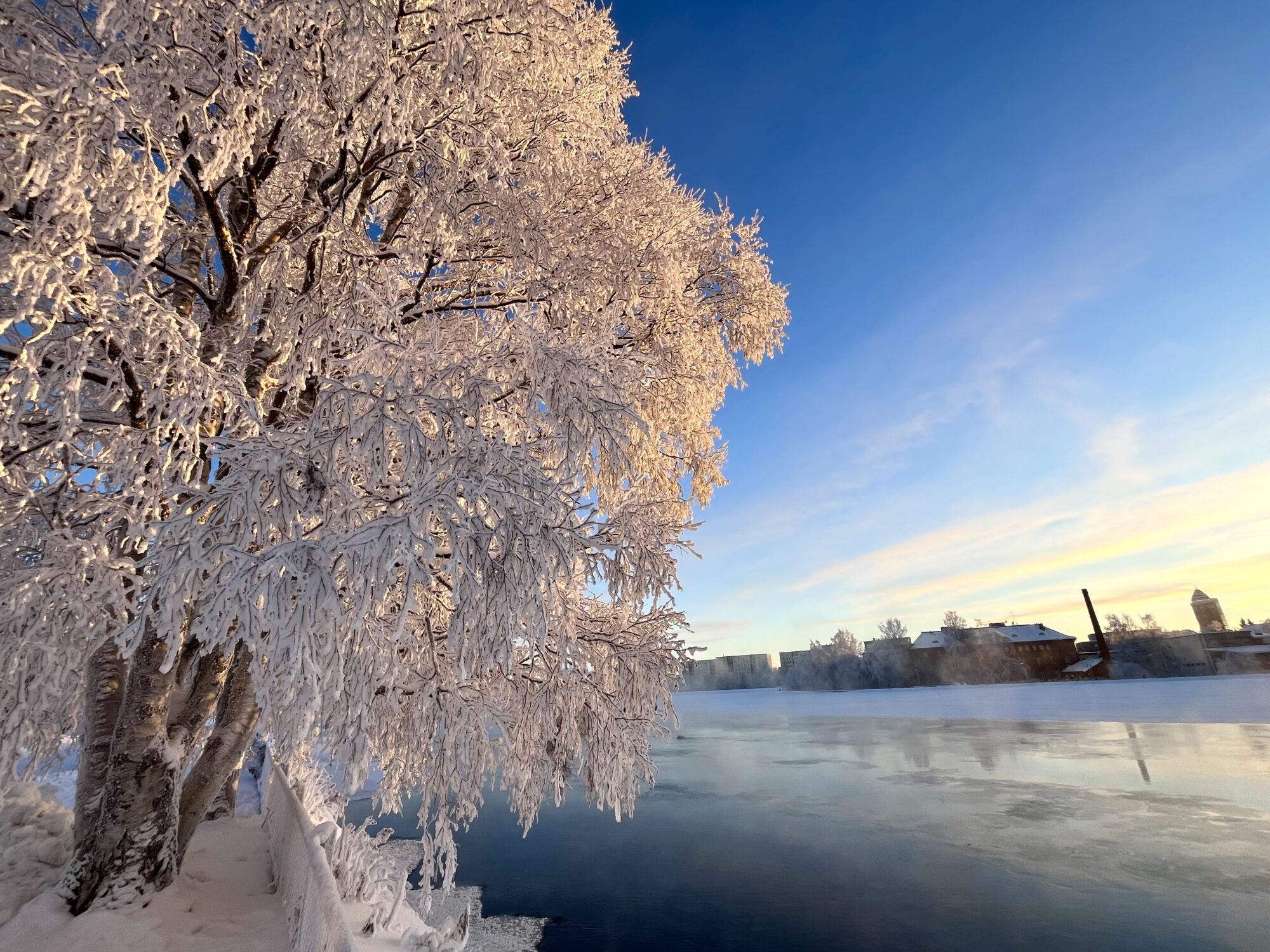 Valokuvaaja: Tuukka Pahtamaa