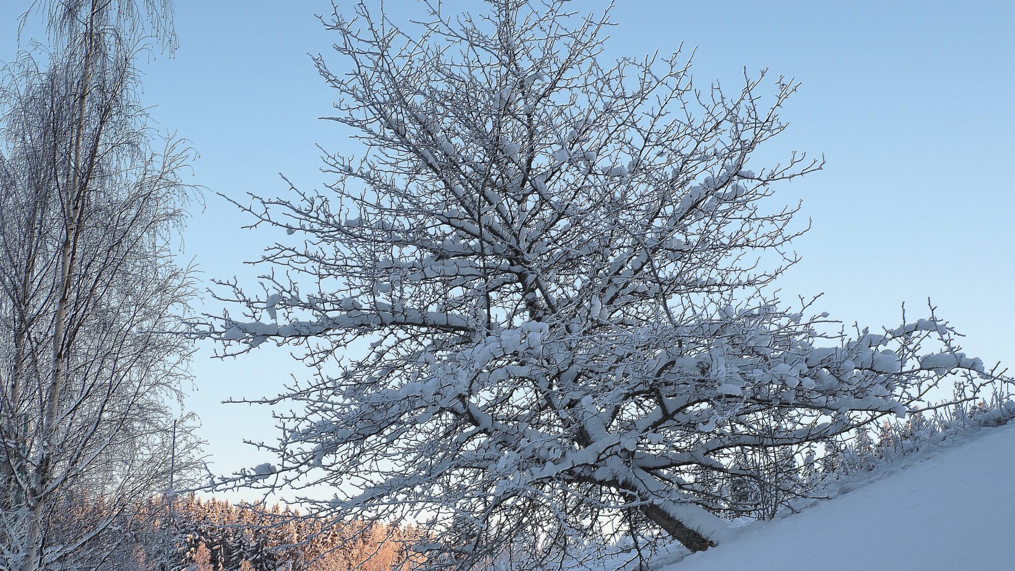 Valokuvaaja: Arja Valtonen