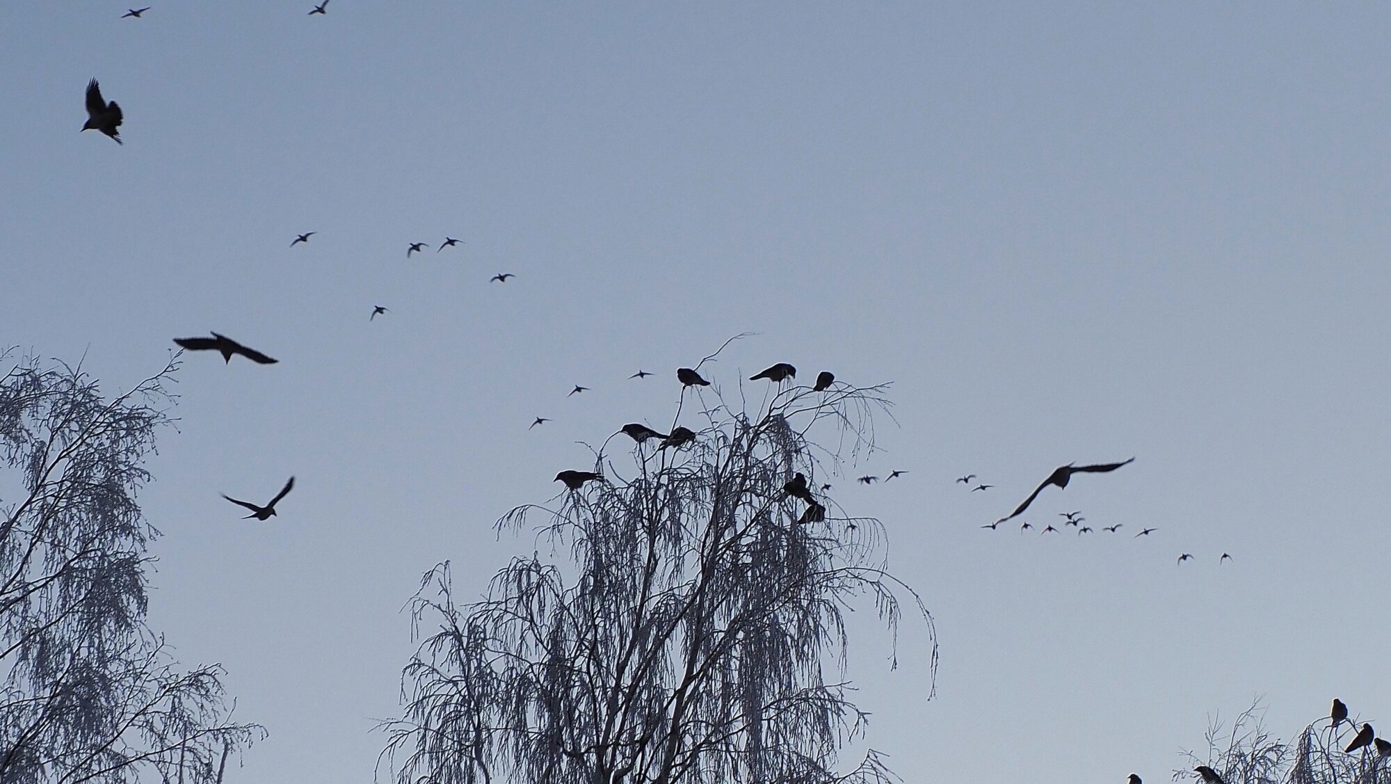 Valokuvaaja: Arja Valtonen