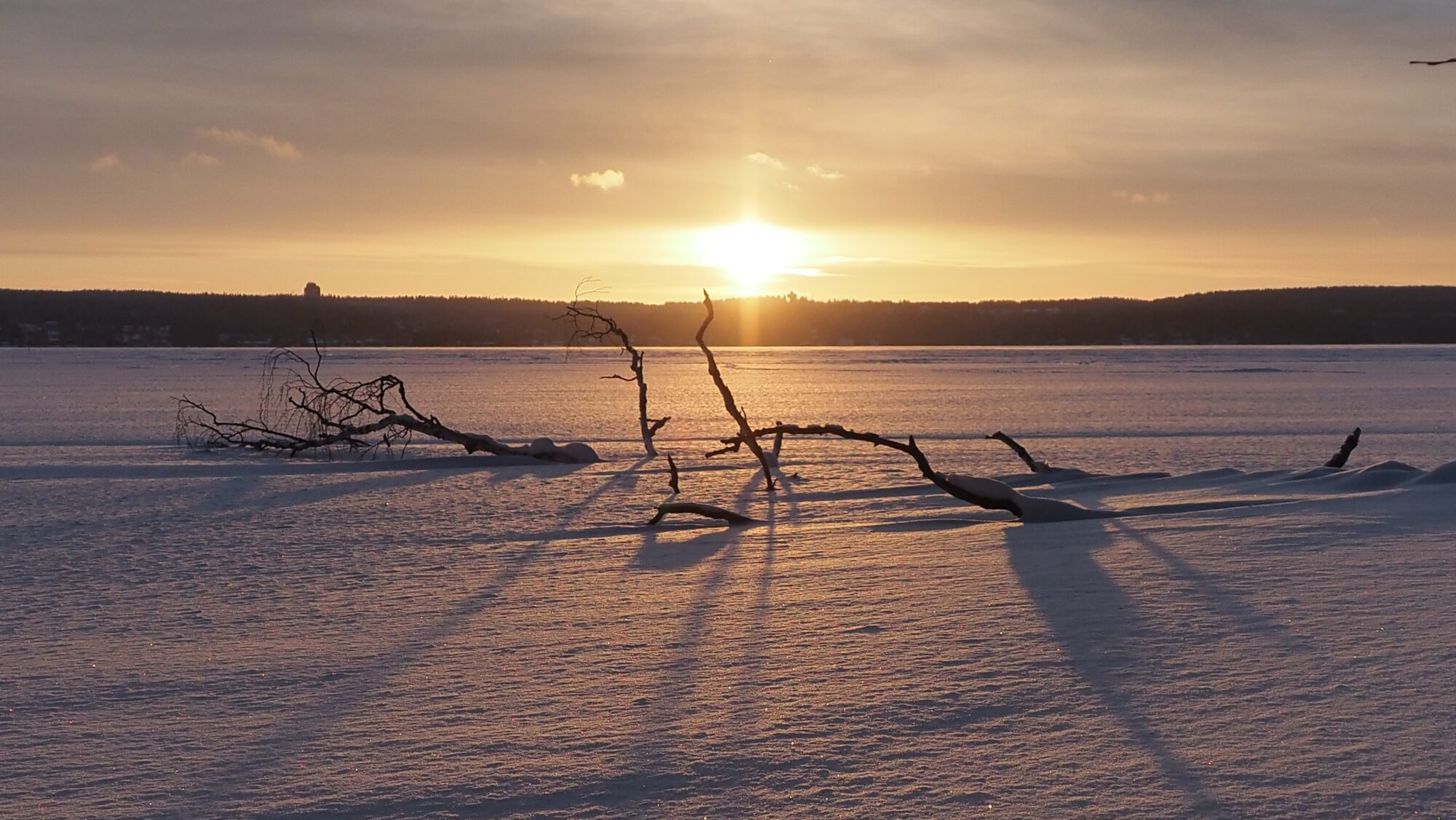 Valokuvaaja: Arja Valtonen