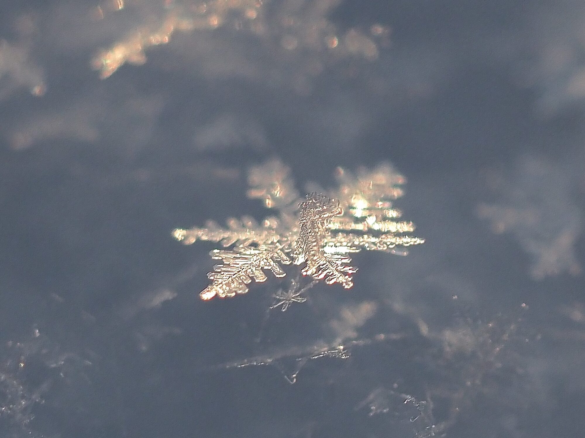 Valokuvaaja: Arja Valtonen