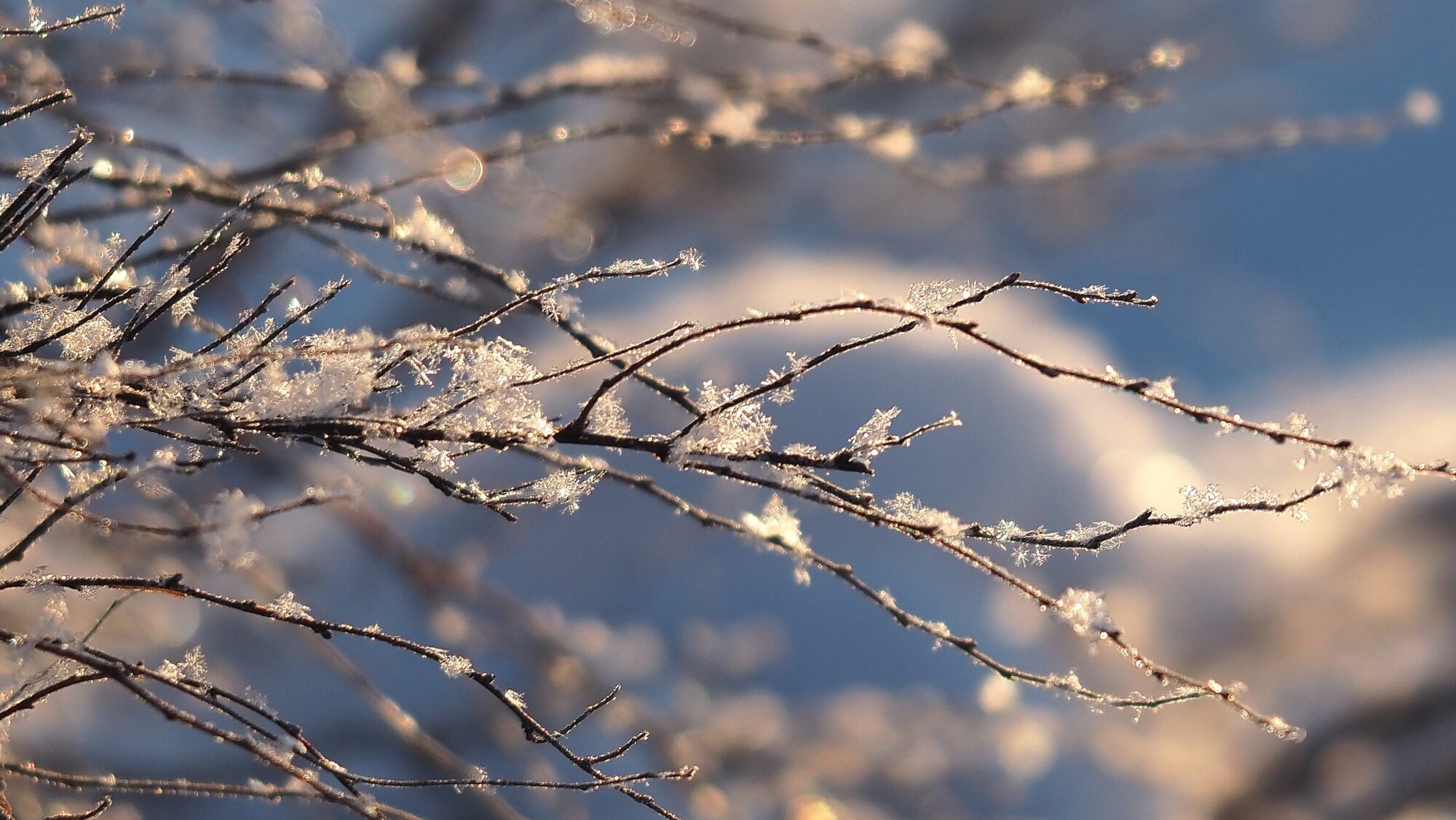 Valokuvaaja: Arja Valtonen