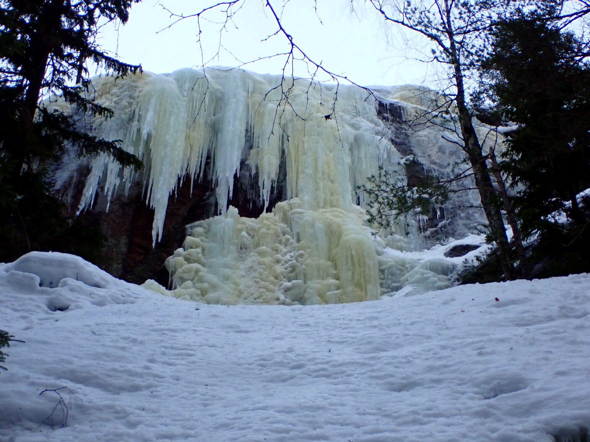 Valokuvaaja: Kari Aaltonen, Pertteli