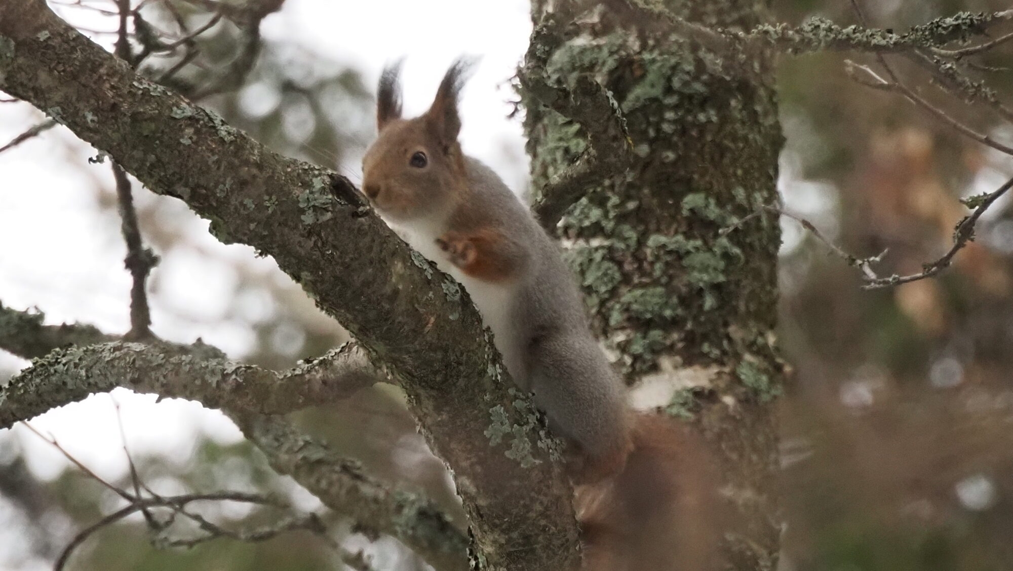 Valokuvaaja: Arja Valtonen
