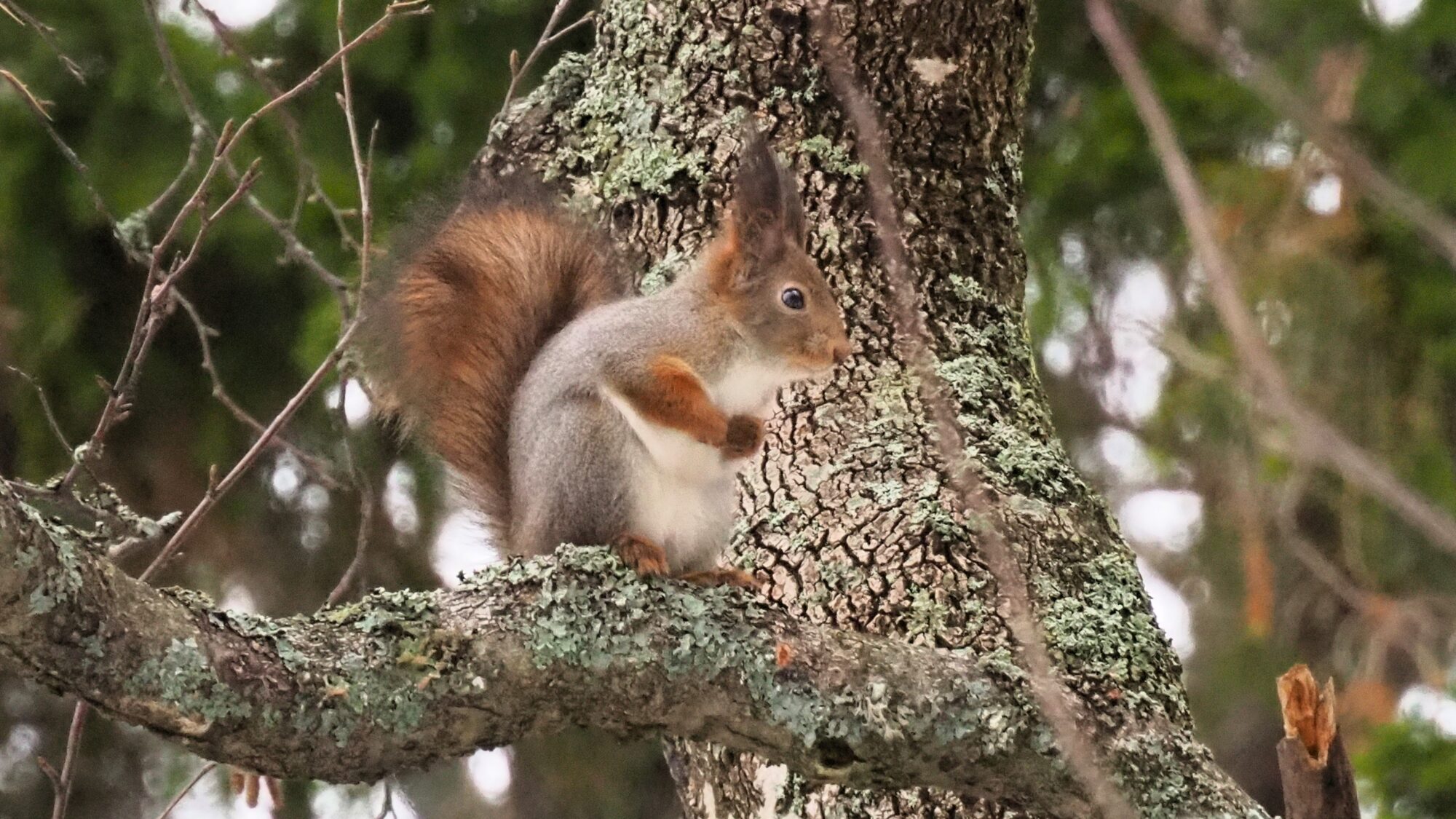 Valokuvaaja: Martti Valtonen