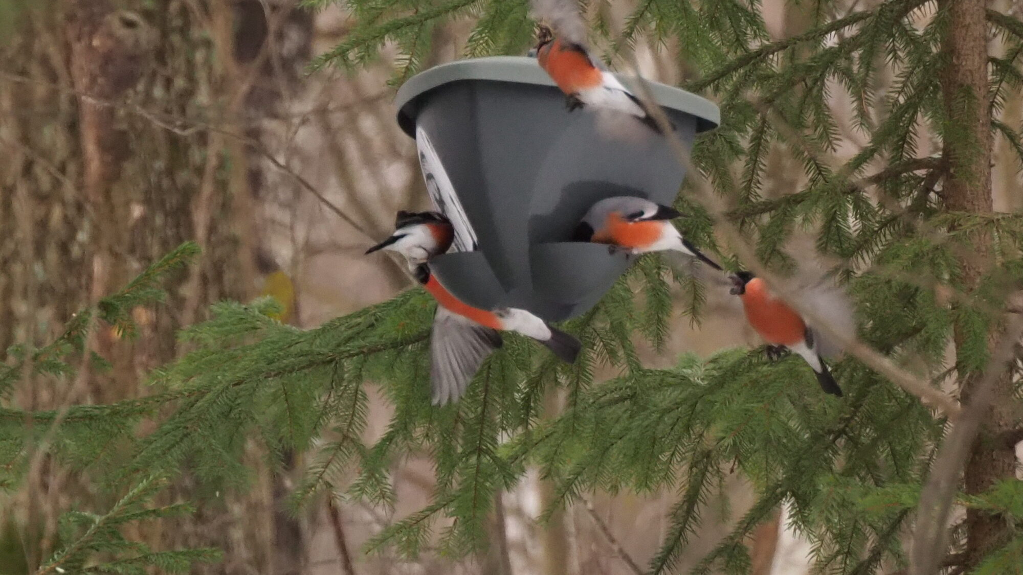 Valokuvaaja: Martti Valtonen