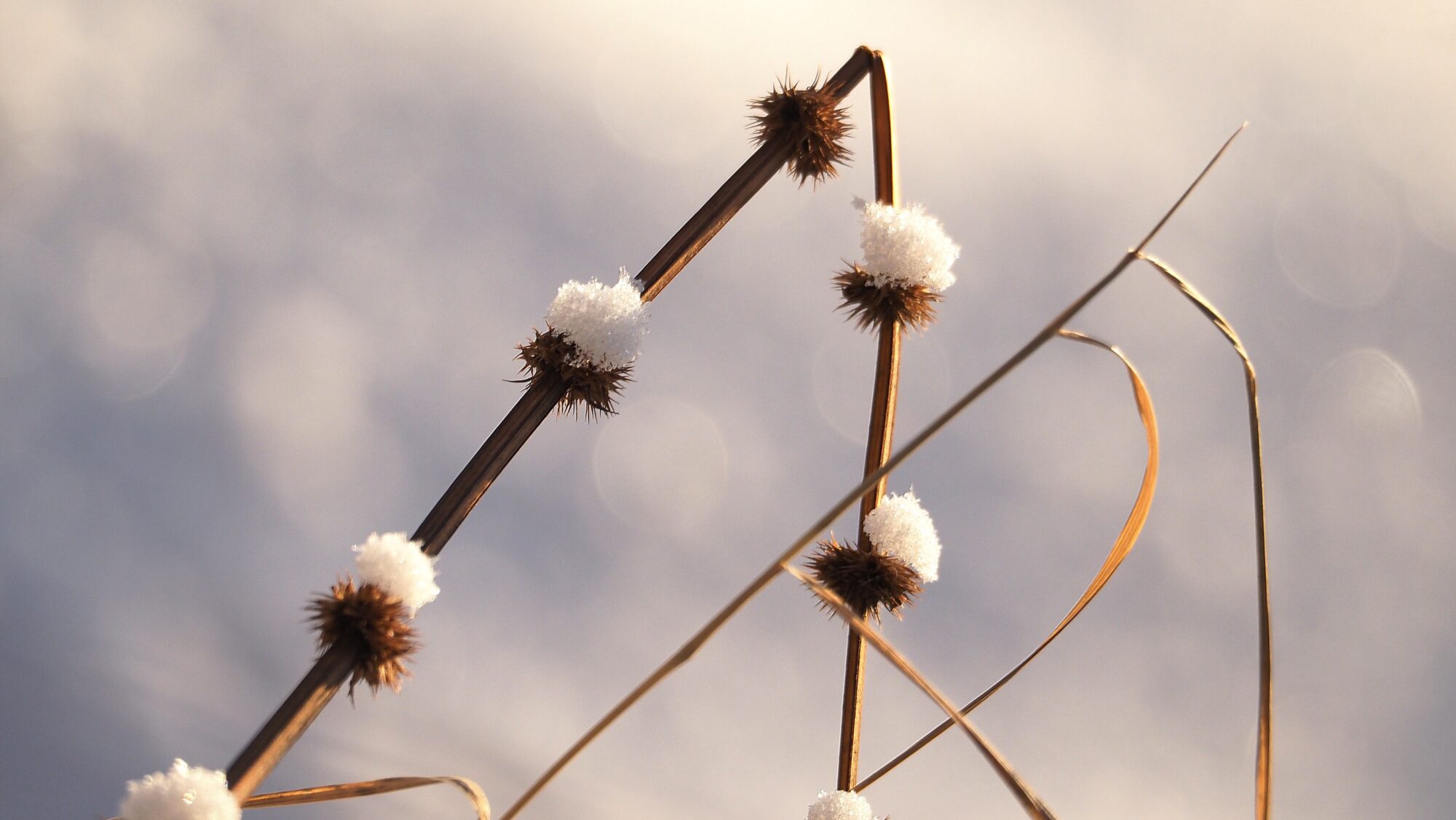 Valokuvaaja: Arja Valtonen