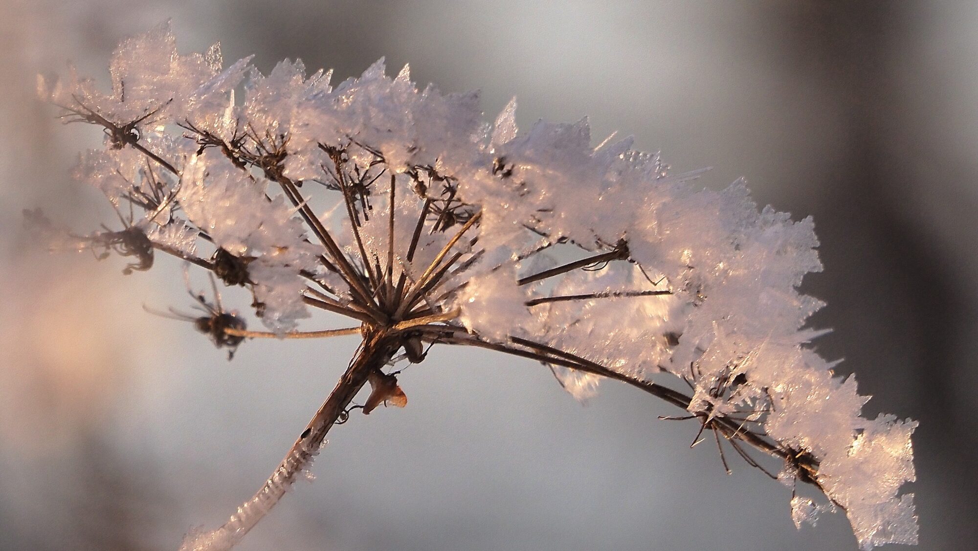 Valokuvaaja: Arja Valtonen