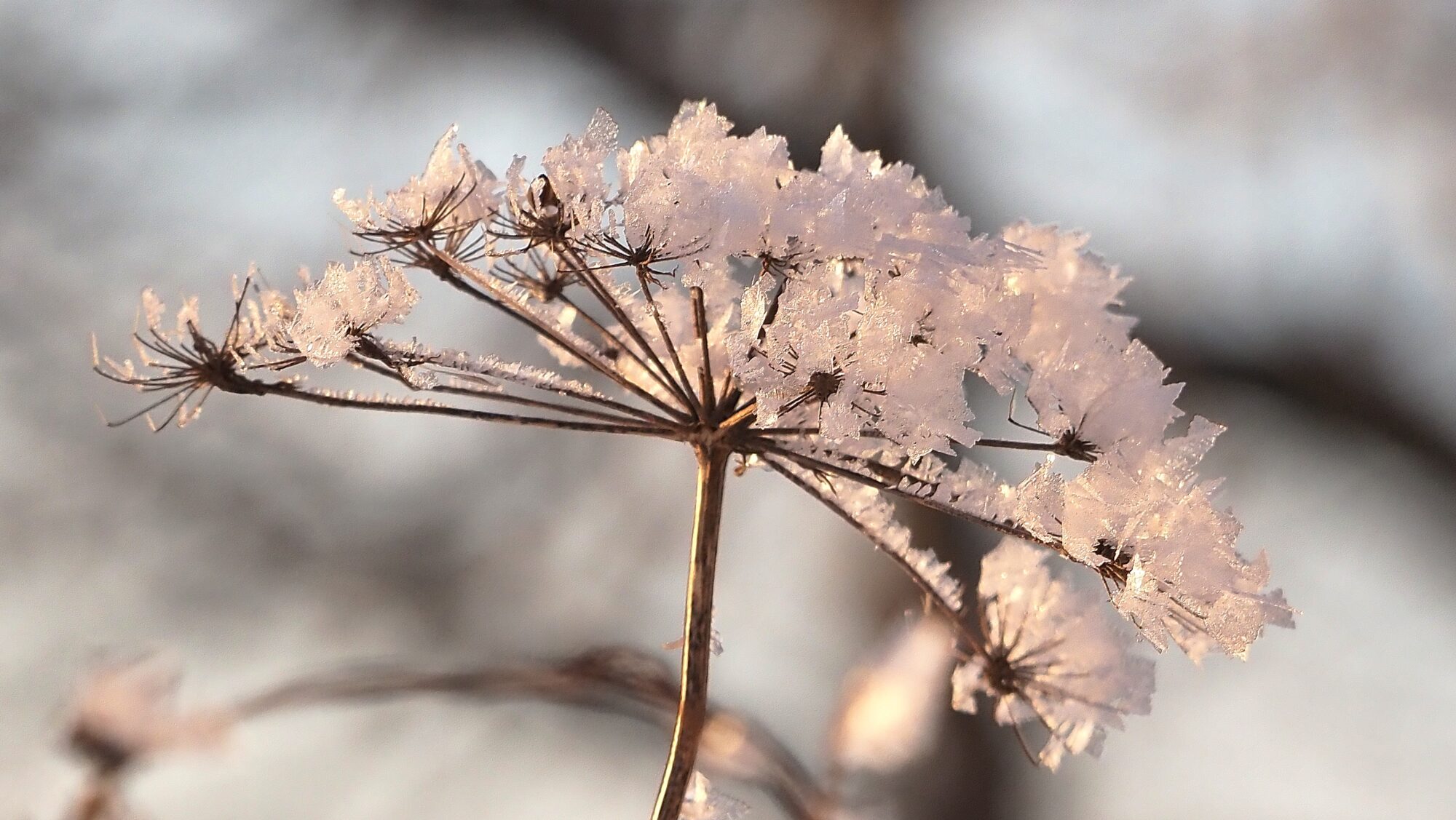 Valokuvaaja: Arja Valtonen