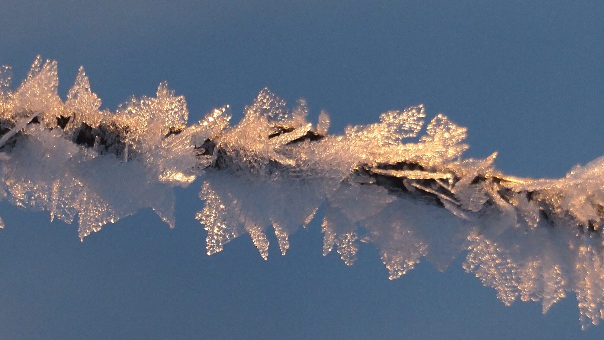 Valokuvaaja: Arja Valtonen