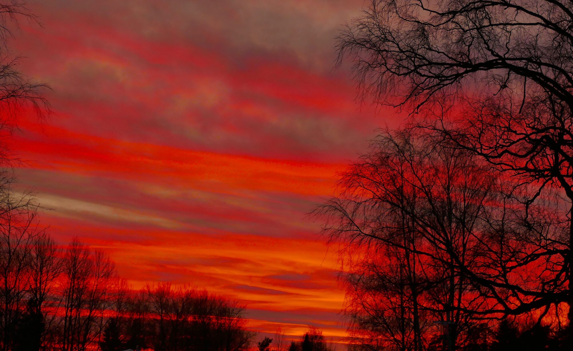 Valokuvaaja: Marjut Ikonen