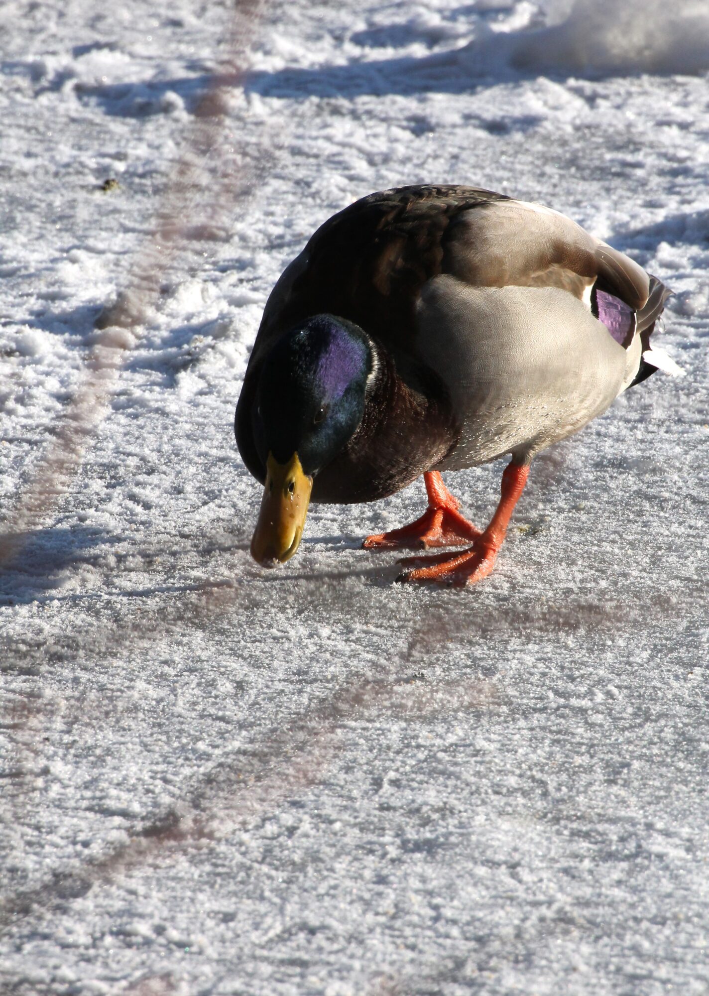Valokuvaaja: Katri Mäkinen
