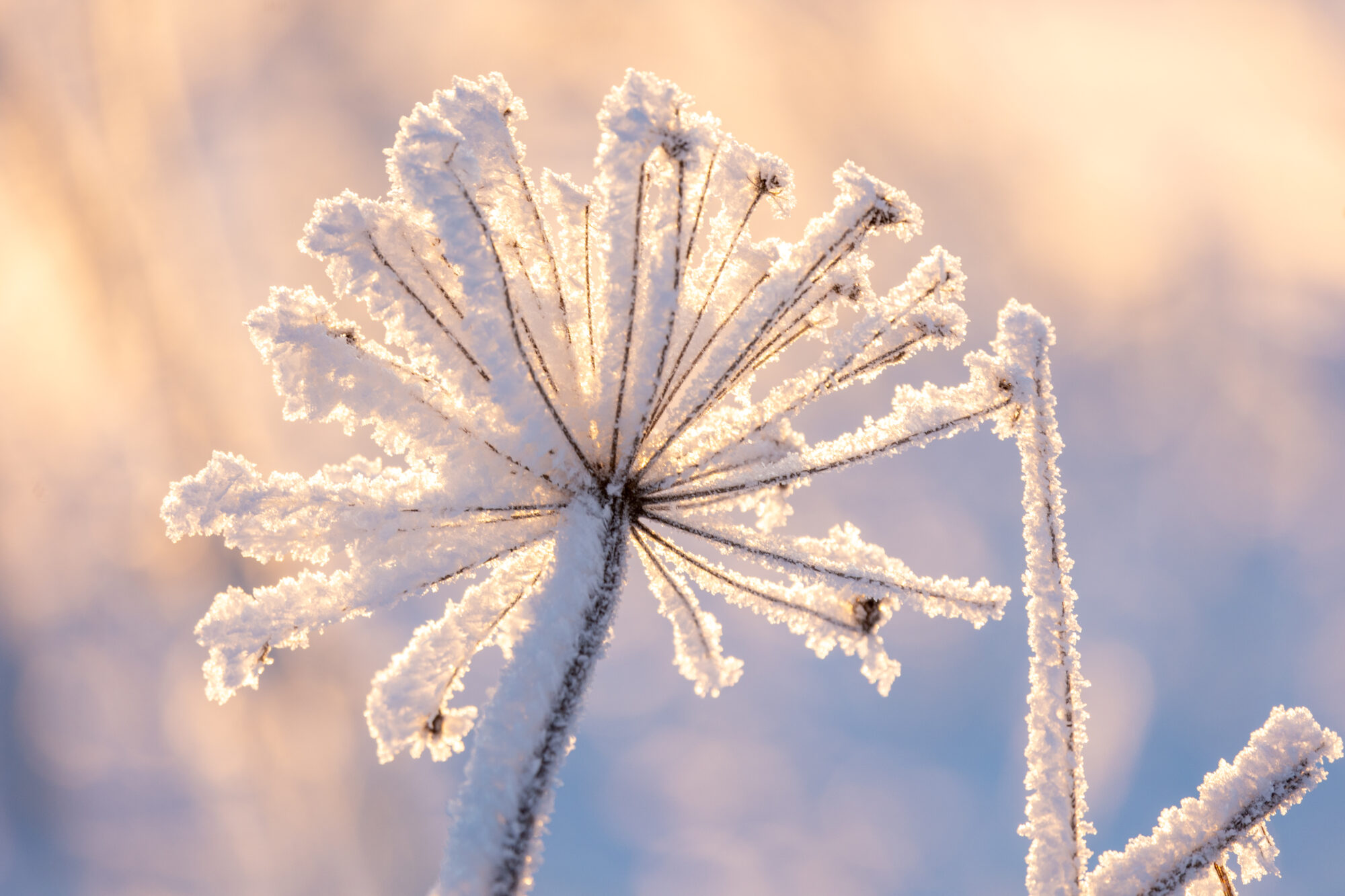 Valokuvaaja: Anne keskivinkka