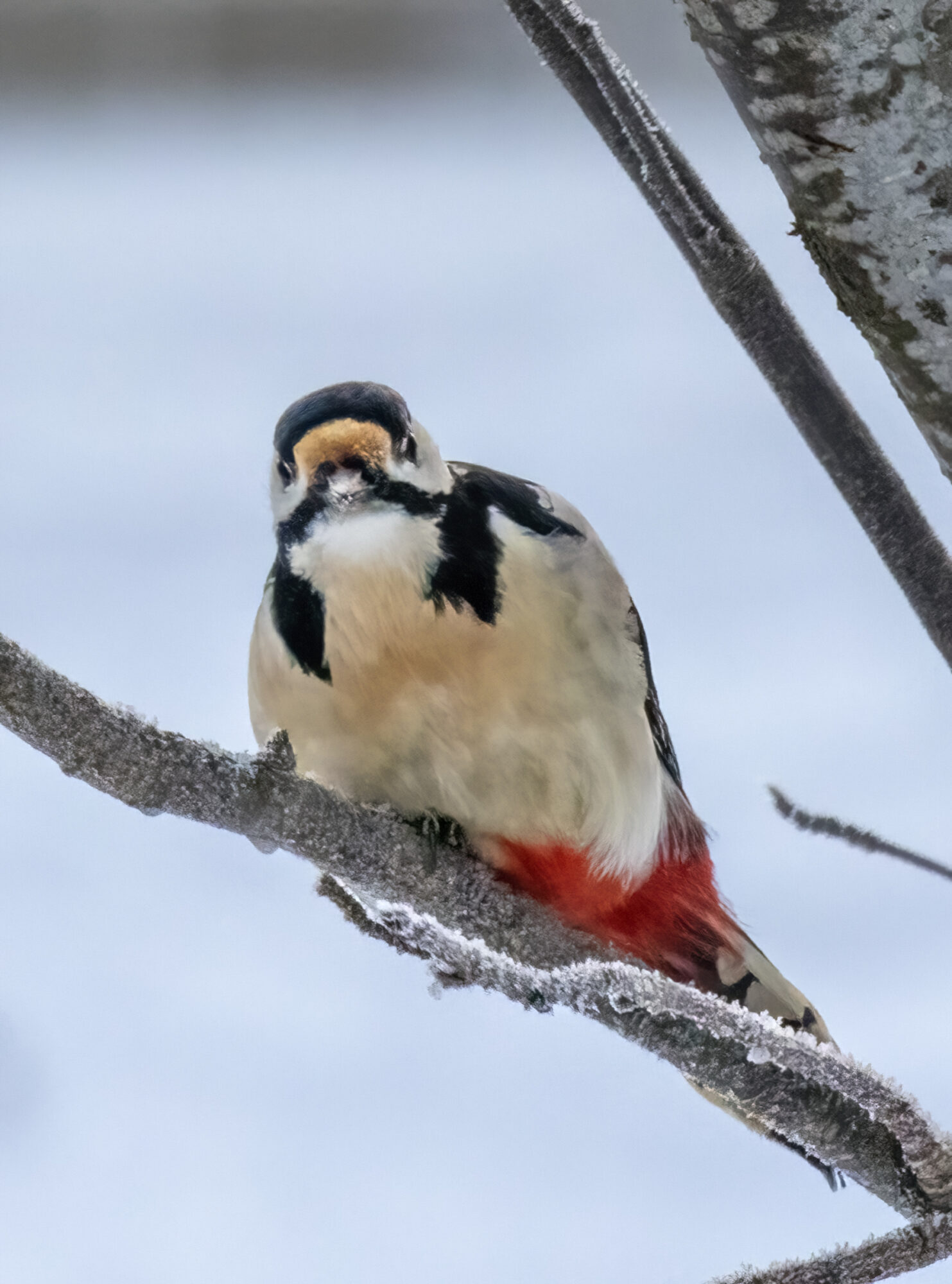 Valokuvaaja: Hannu Tikkanen