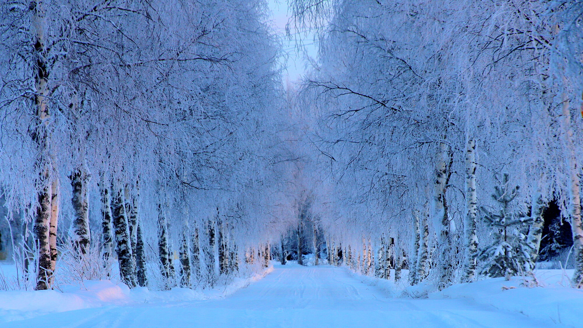 Valokuvaaja: sirpa Jyske