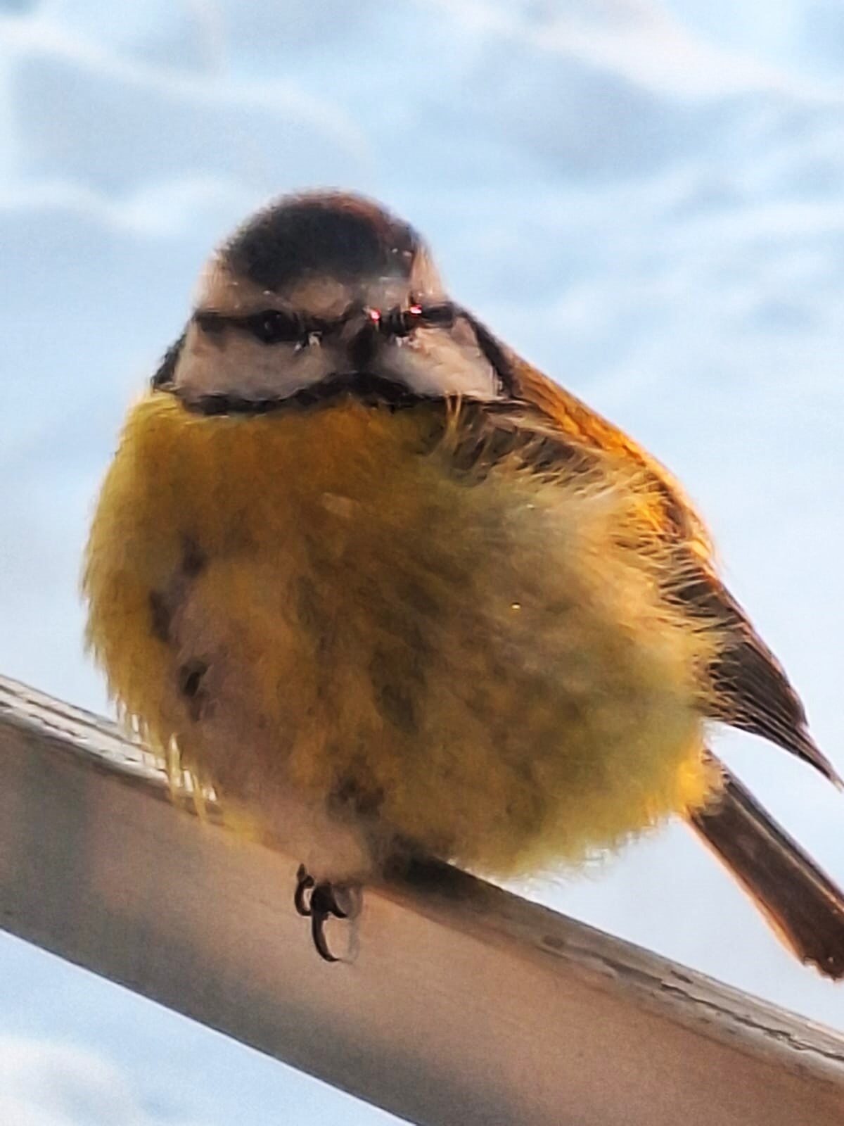 Valokuvaaja: Ahti Keränen