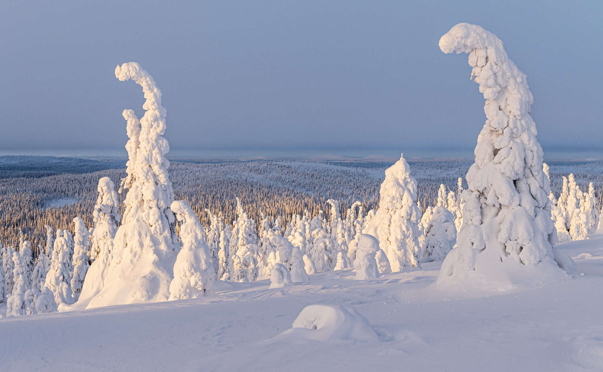 Valokuvaaja: Inkeri Välitalo
