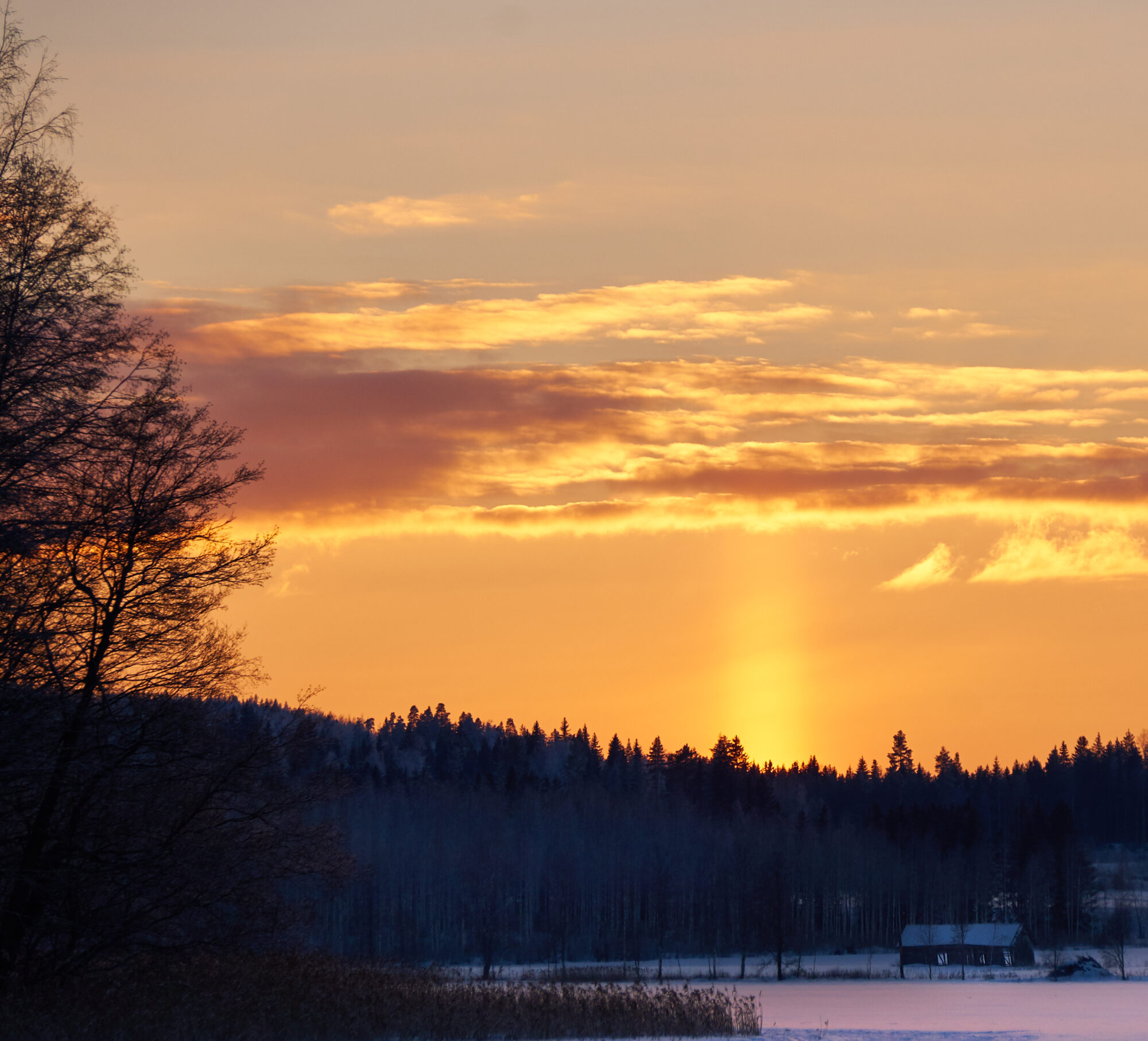 Valokuvaaja: Tarja Kouvo