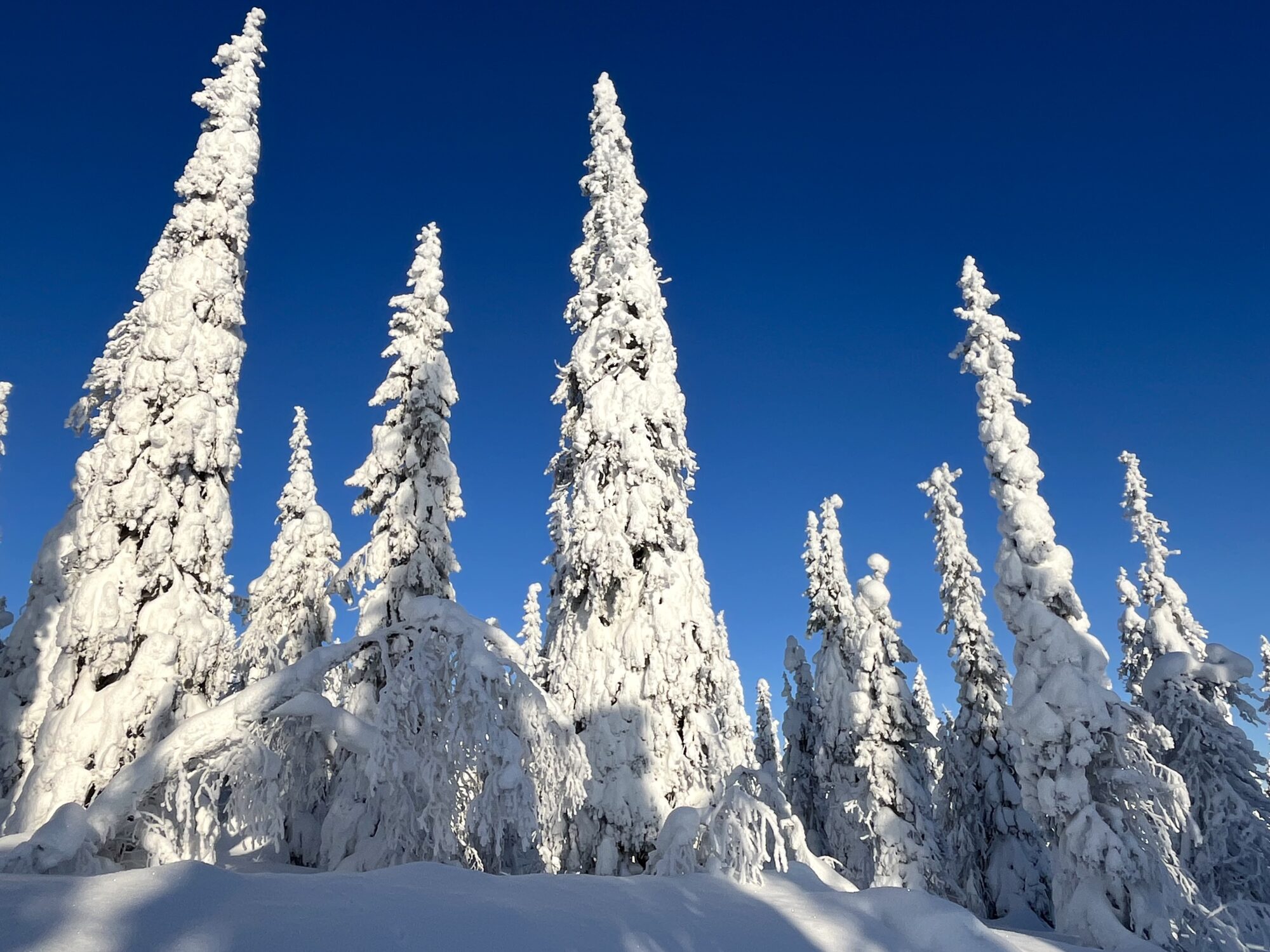 Valokuvaaja: Tuukka Pahtamaa